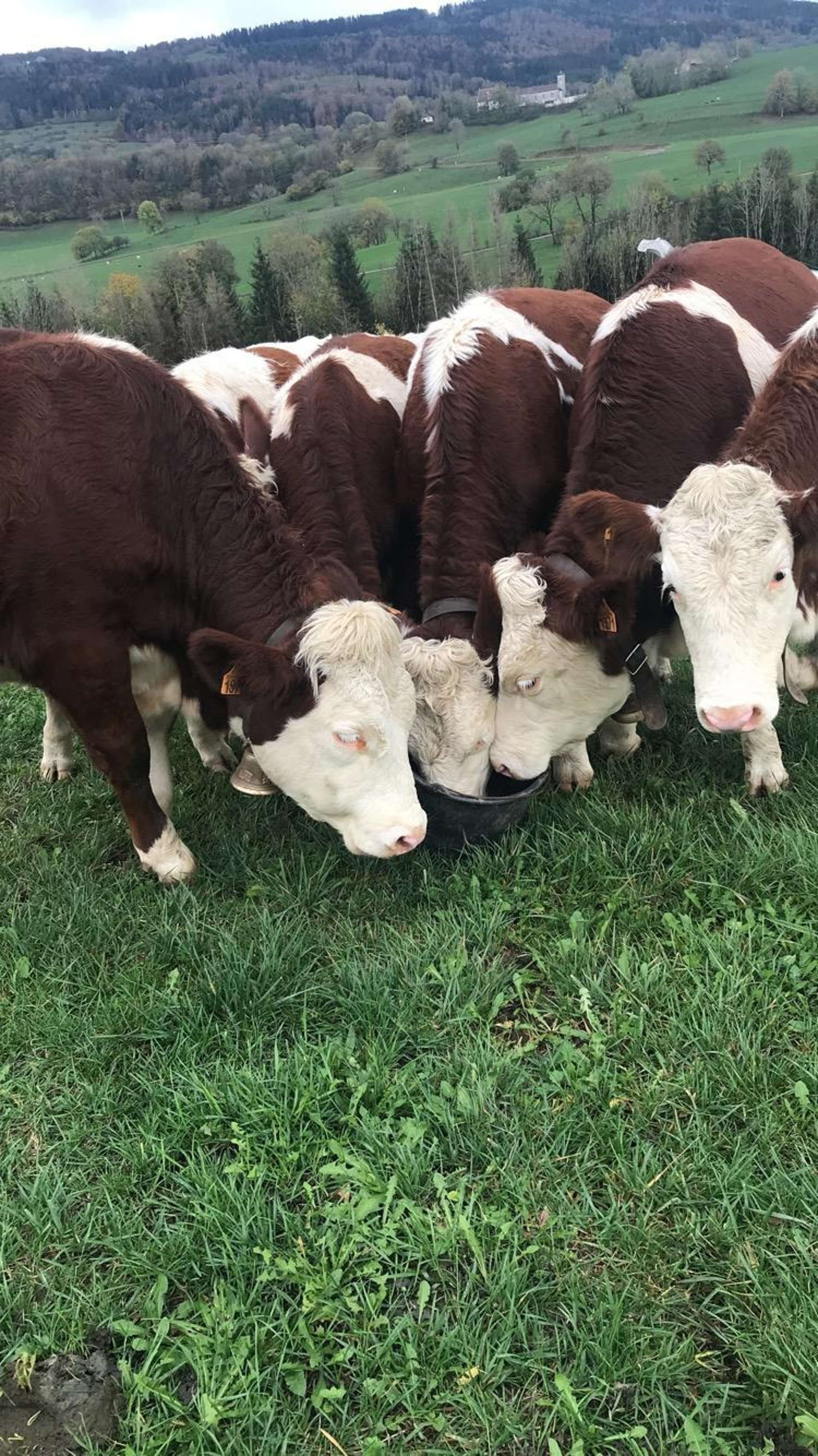 a tall building with columns and a sky background