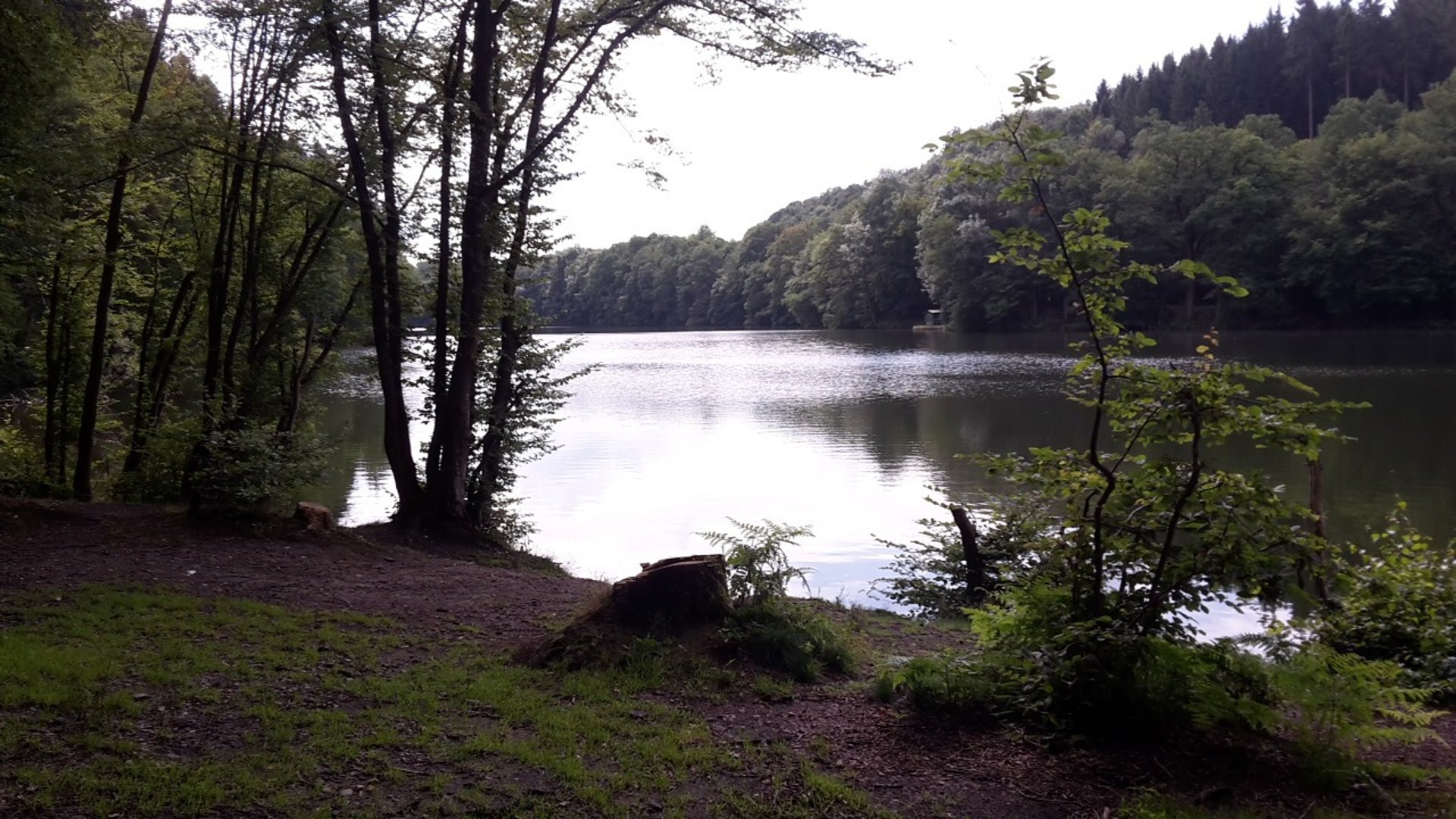 black blue and yellow textile
