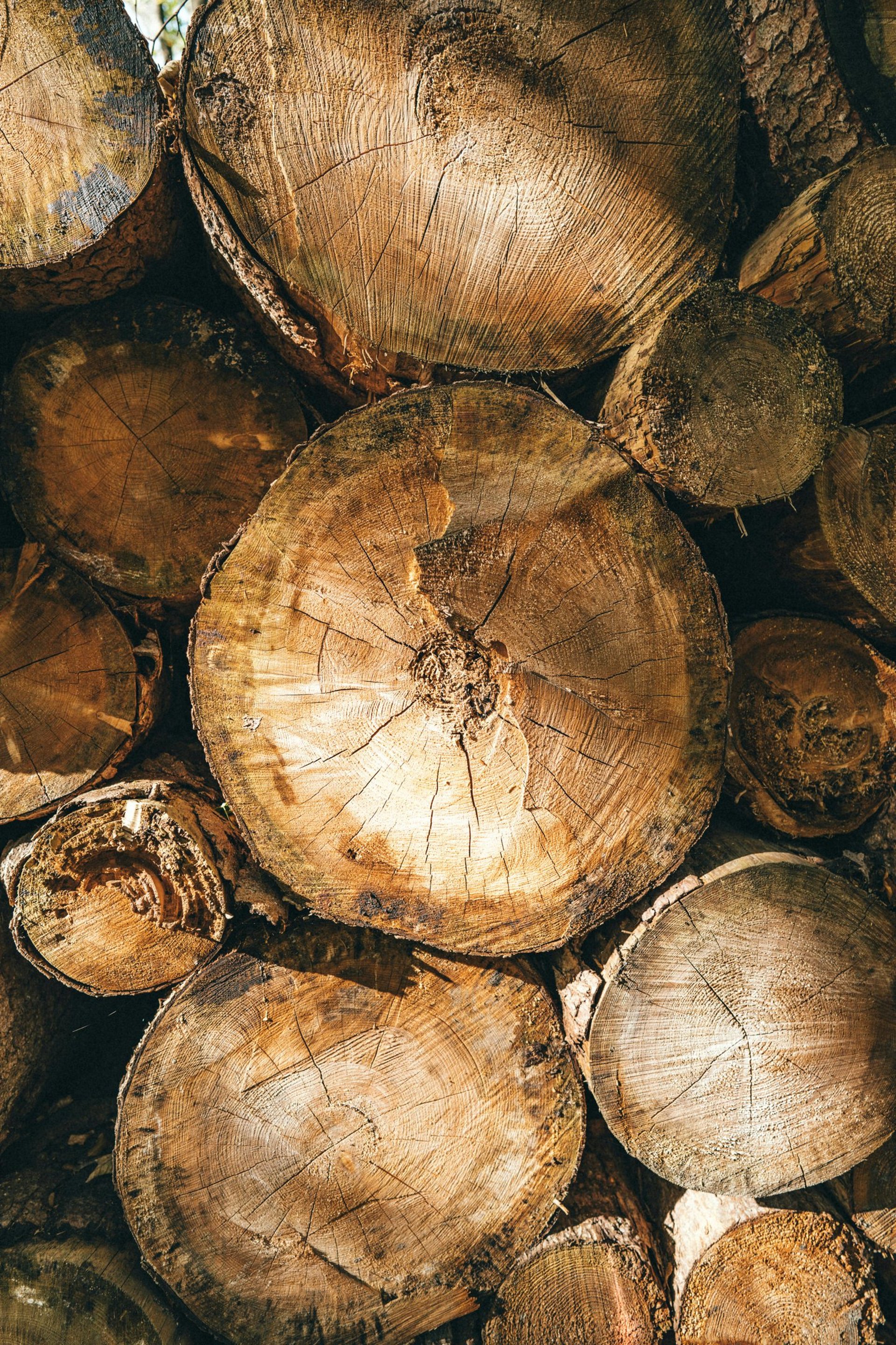 black and brown leather padded tub sofa