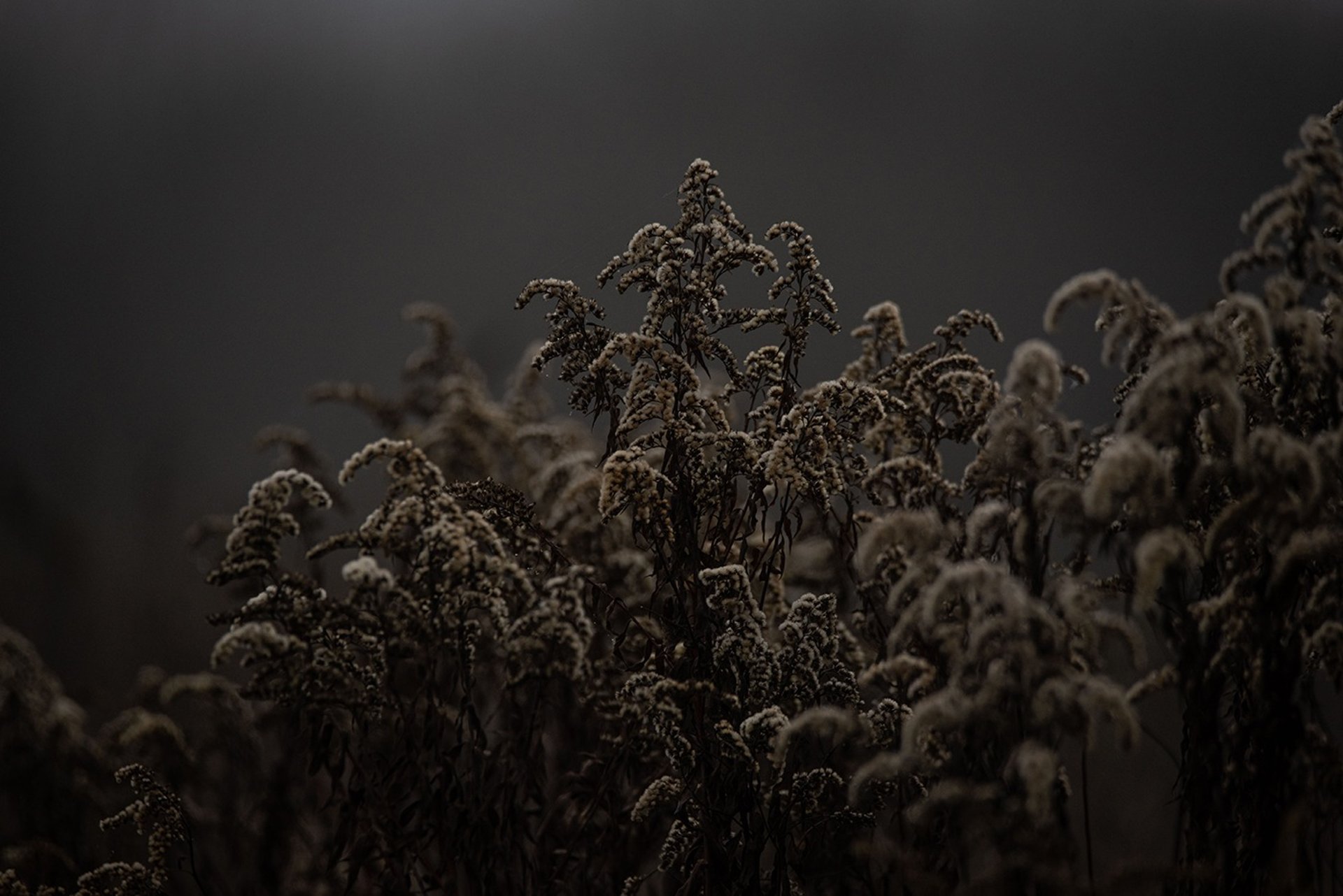 a close up of a black and brown abstract painting
