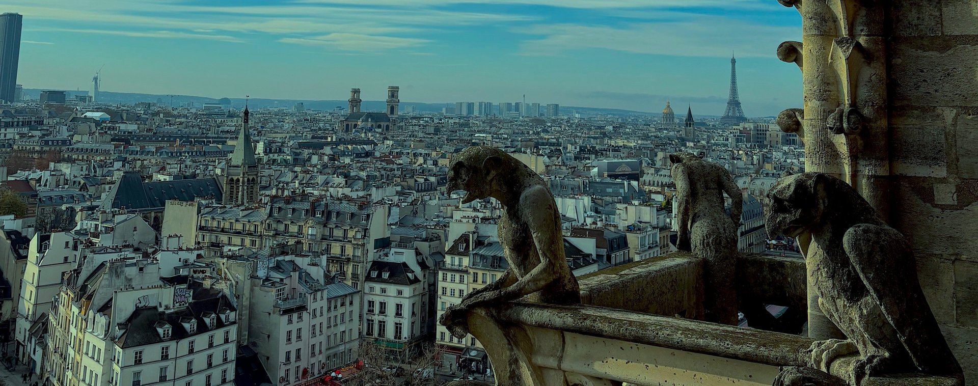 an abstract photo of a curved building with a blue sky in the background