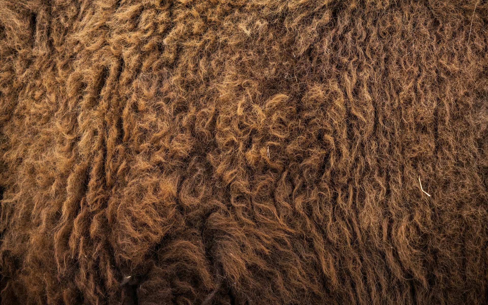 woman wearing yellow long-sleeved dress under white clouds and blue sky during daytime