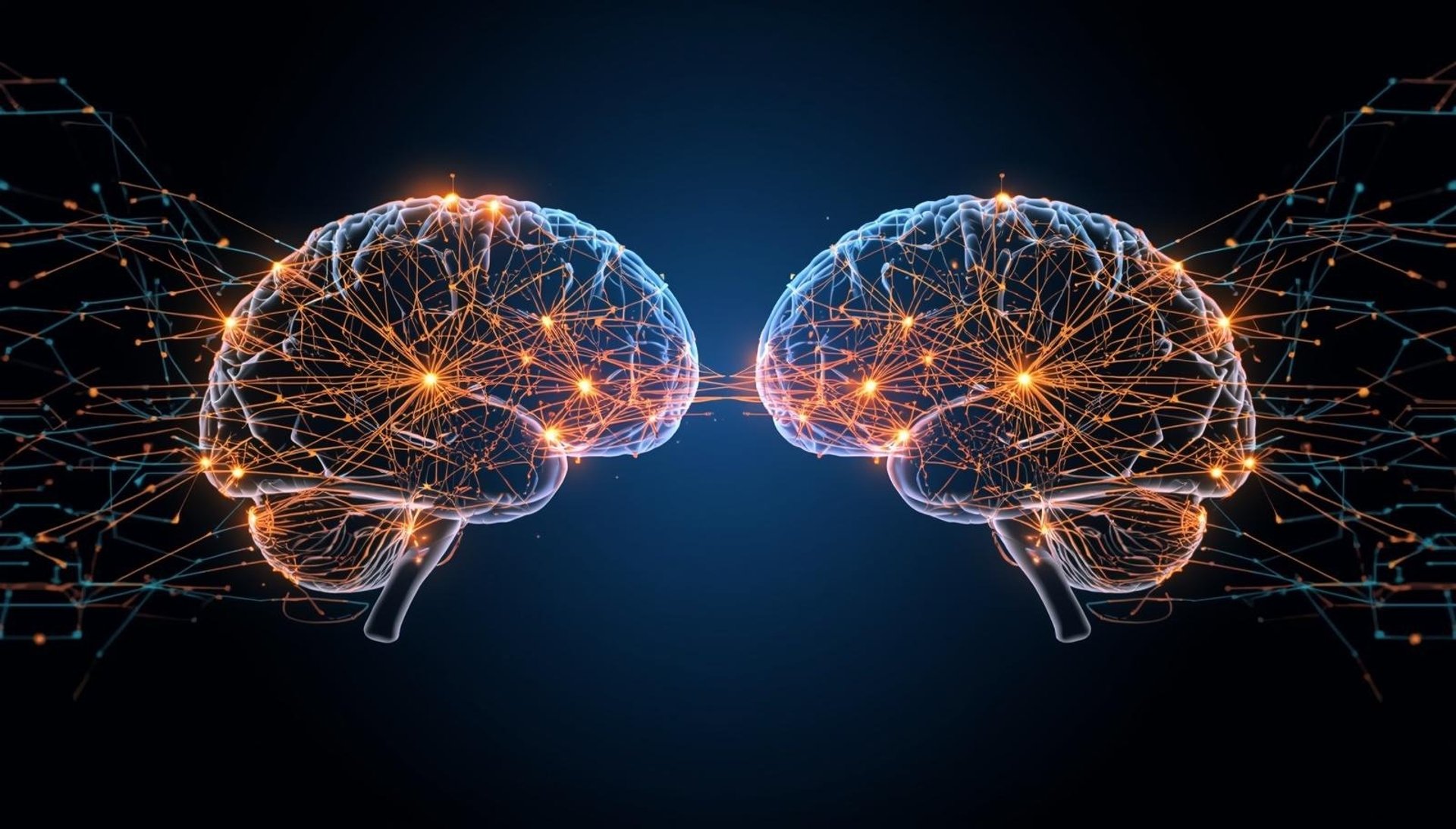 a black and white photo of a brain