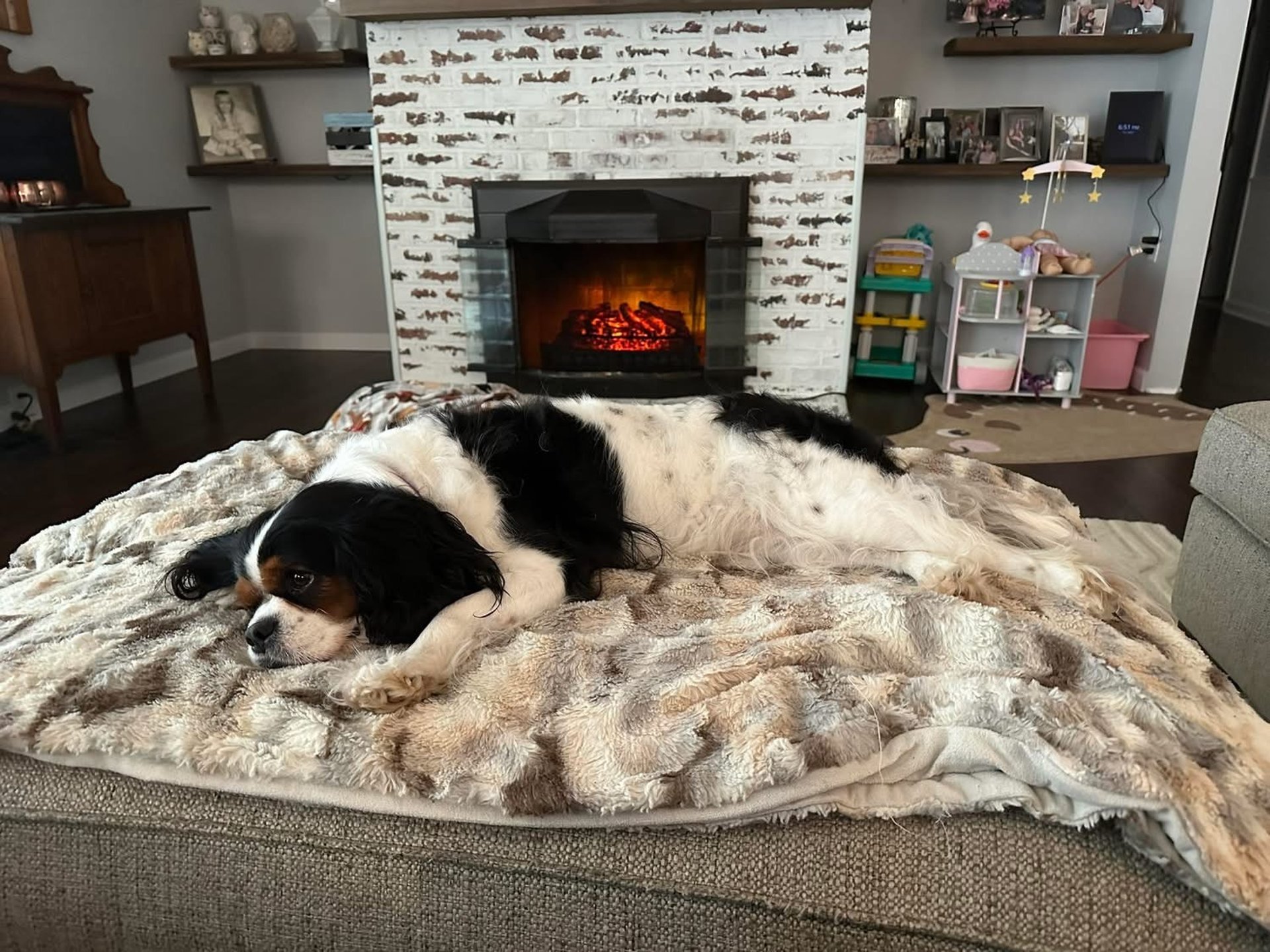 gray computer monitor