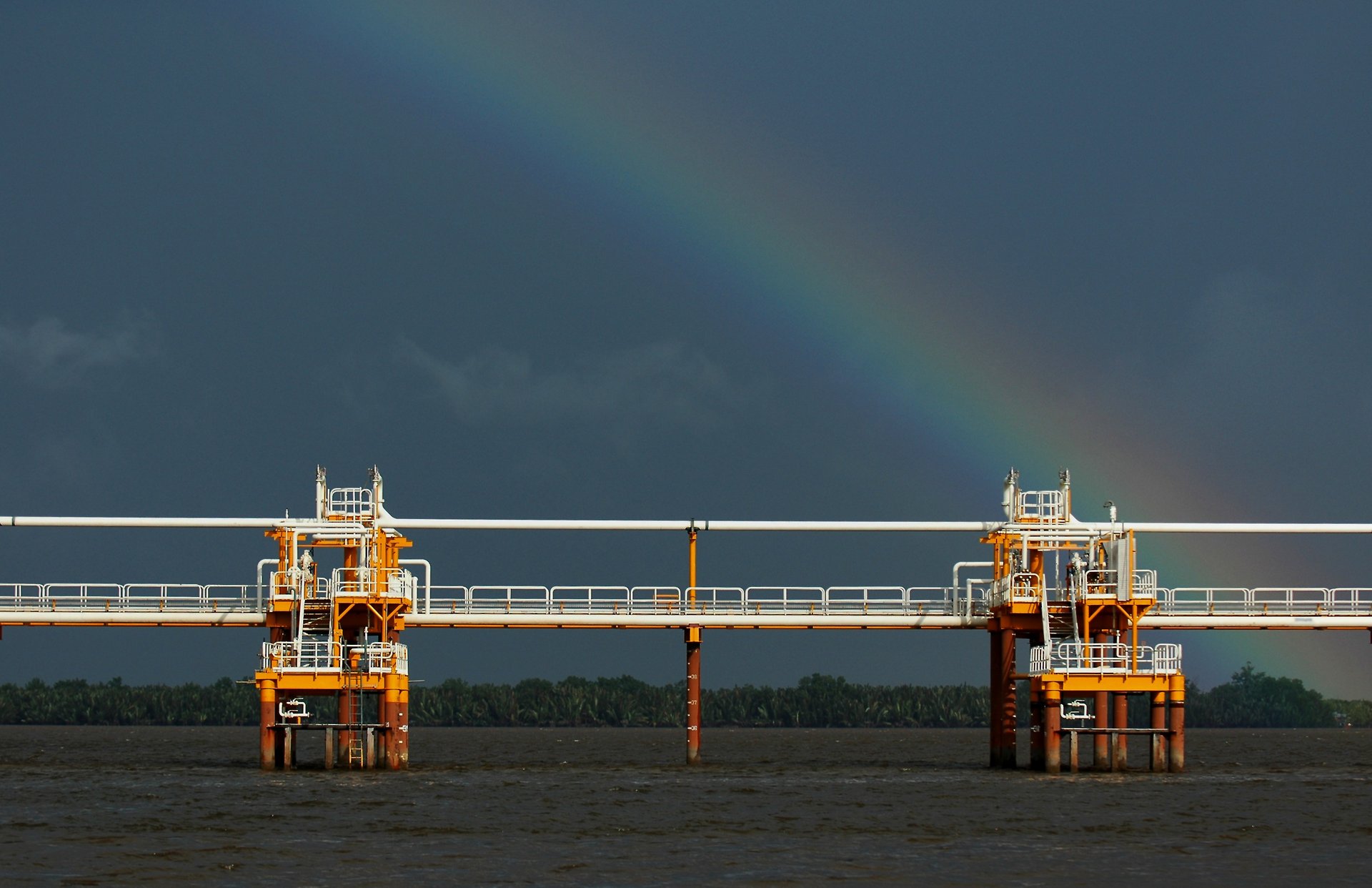 gray computer monitor