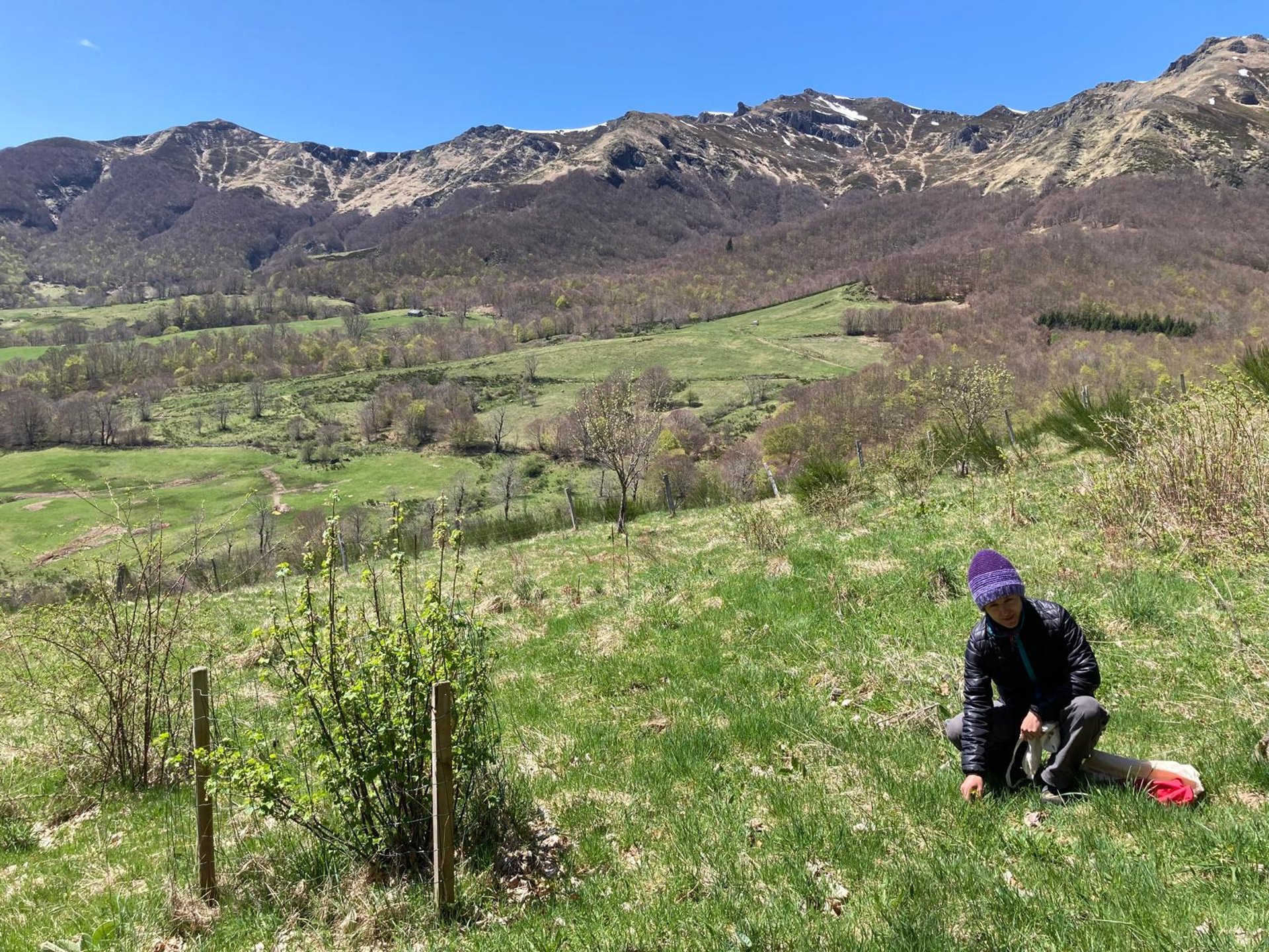 black and white bed linen