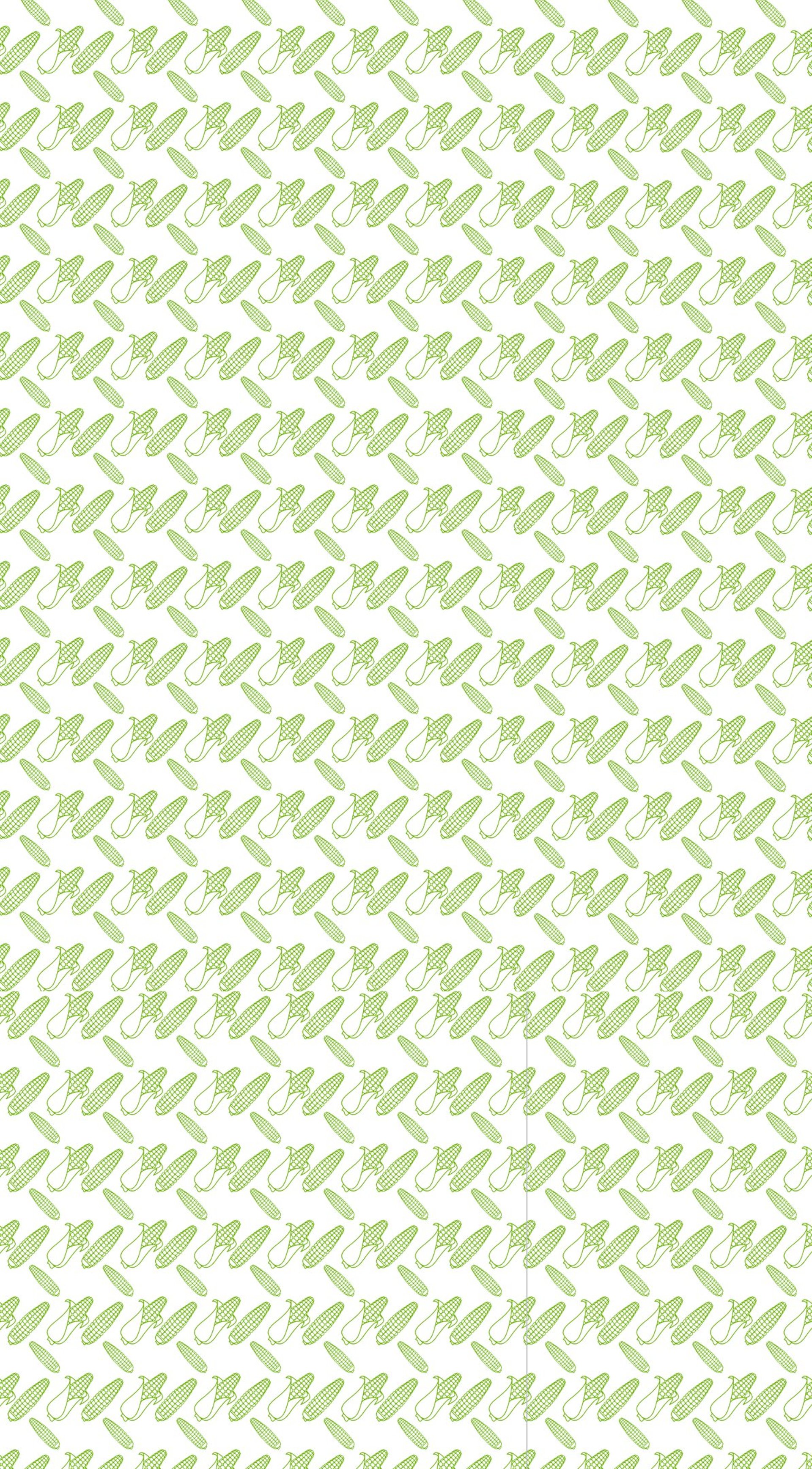 A fluffy orange cat with heterochromia wears a red collar.