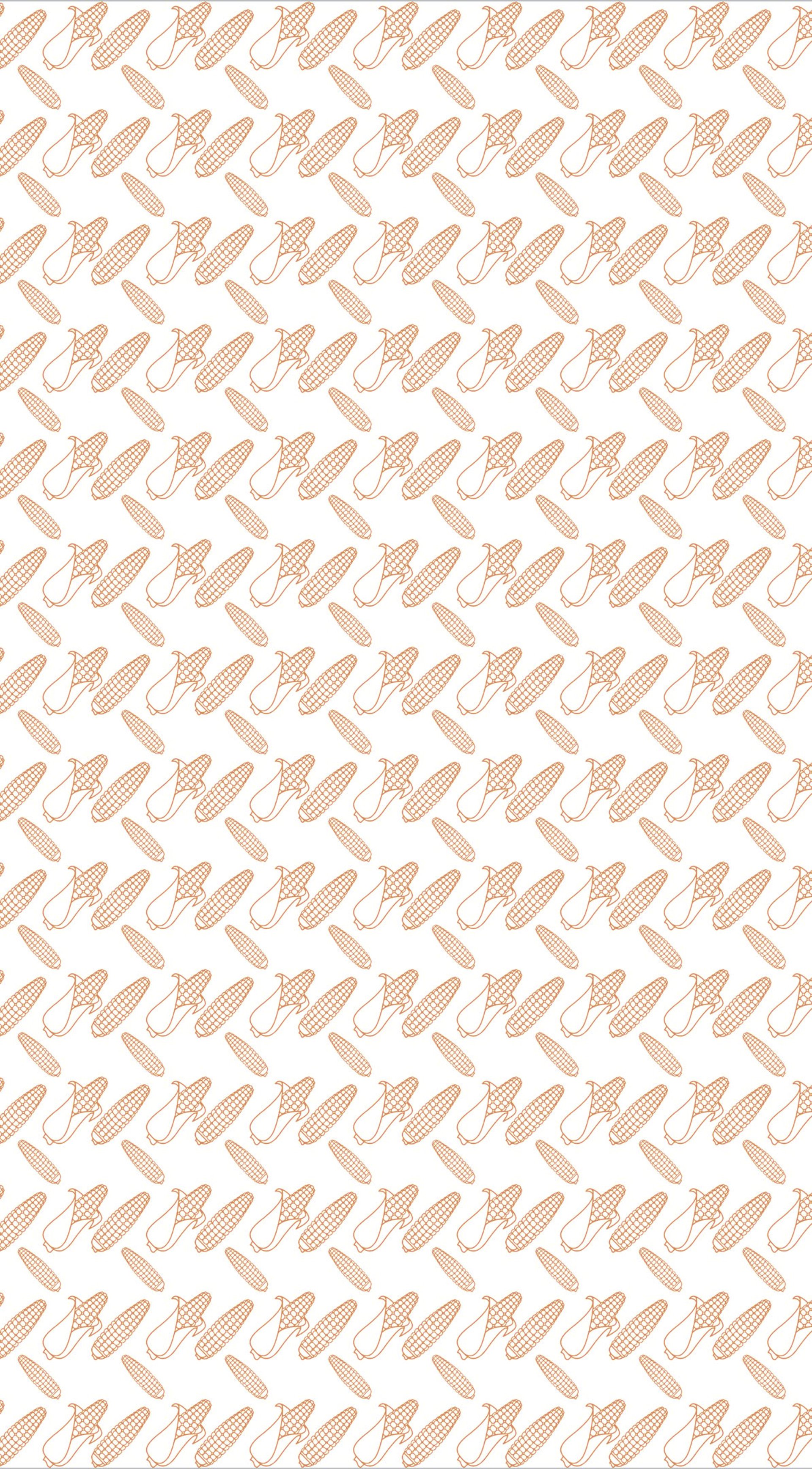 A fluffy orange cat with heterochromia wears a red collar.