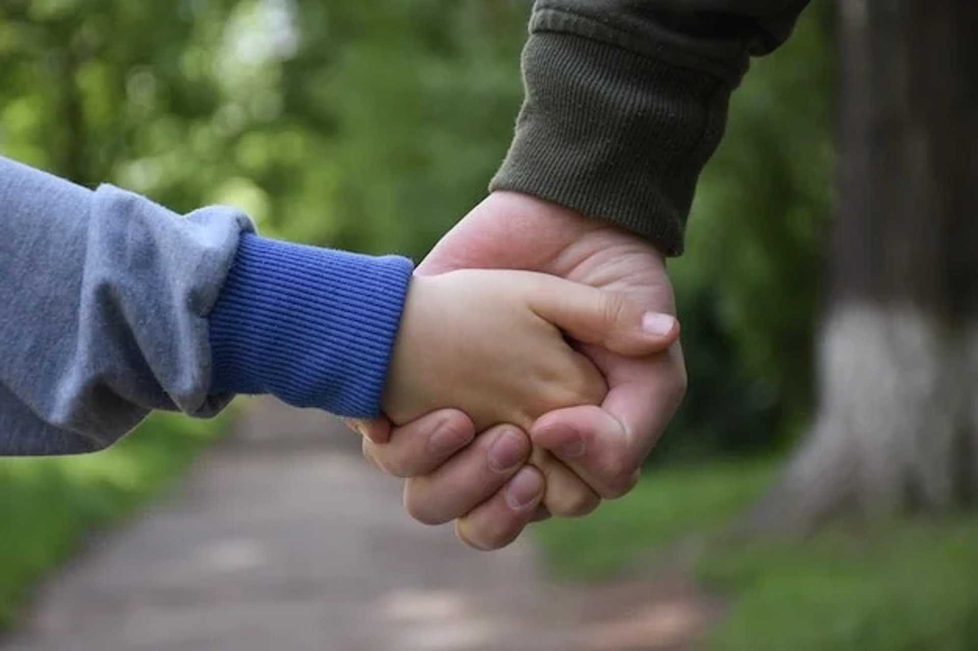 four boy playing ball on green grass