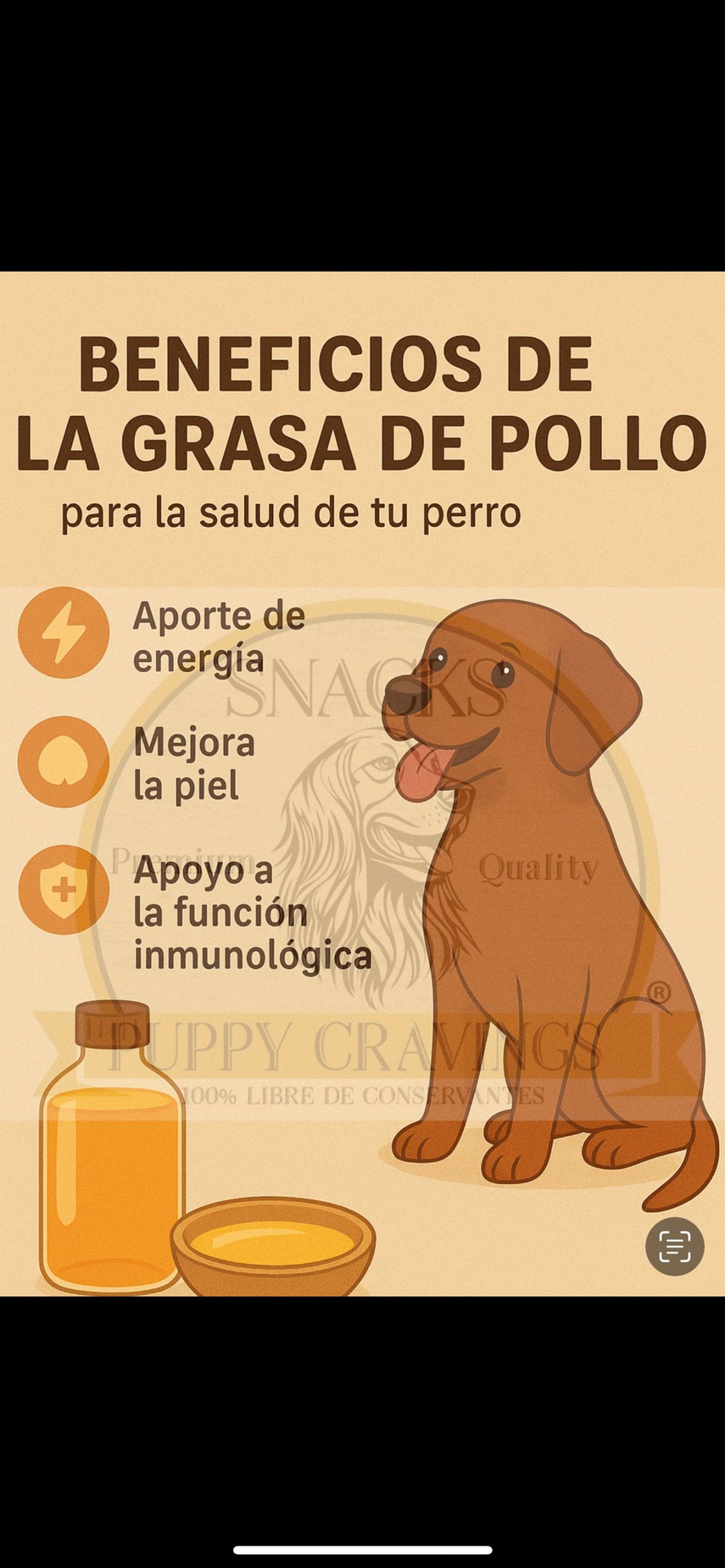 gray computer monitor