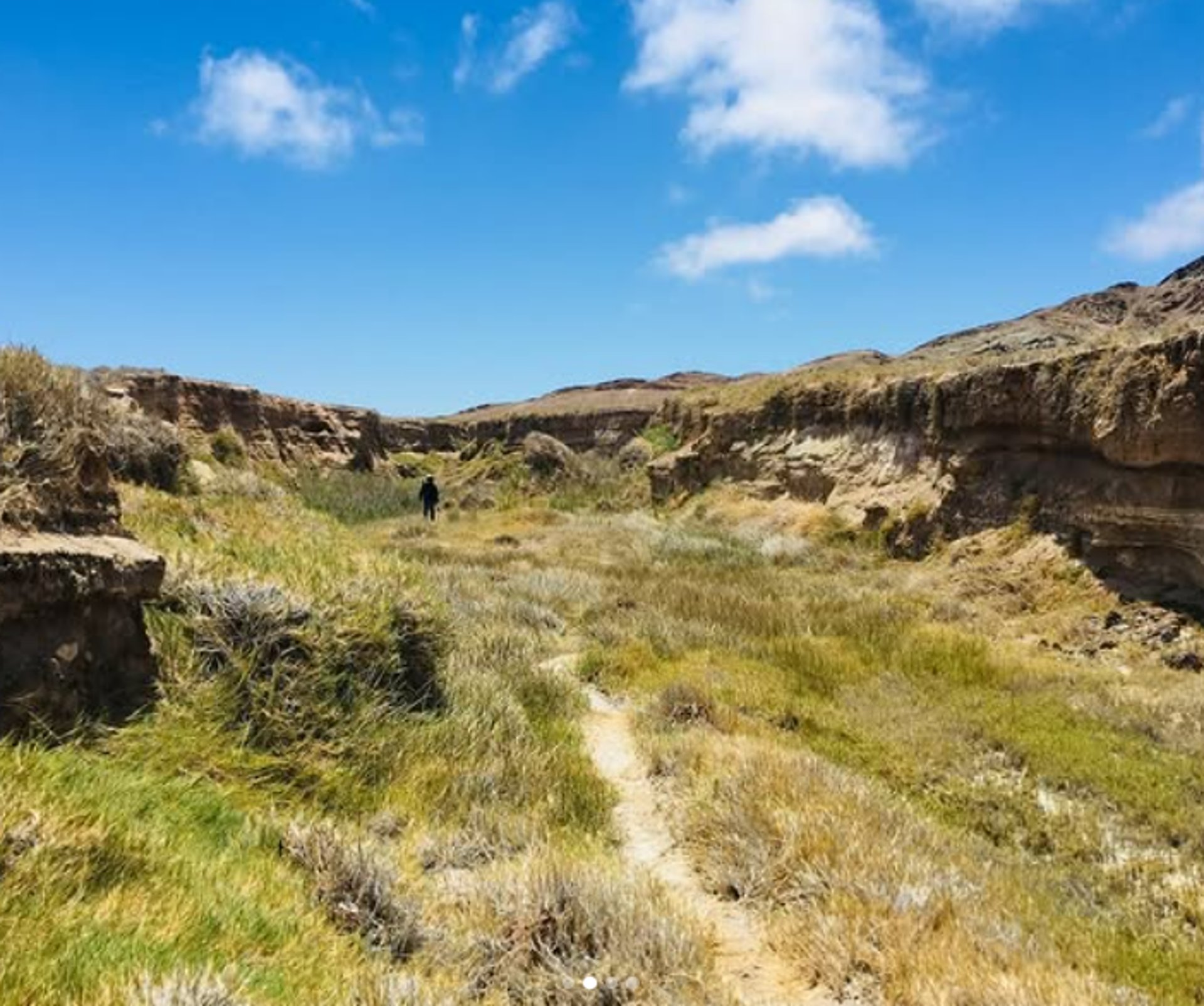 gray computer monitor