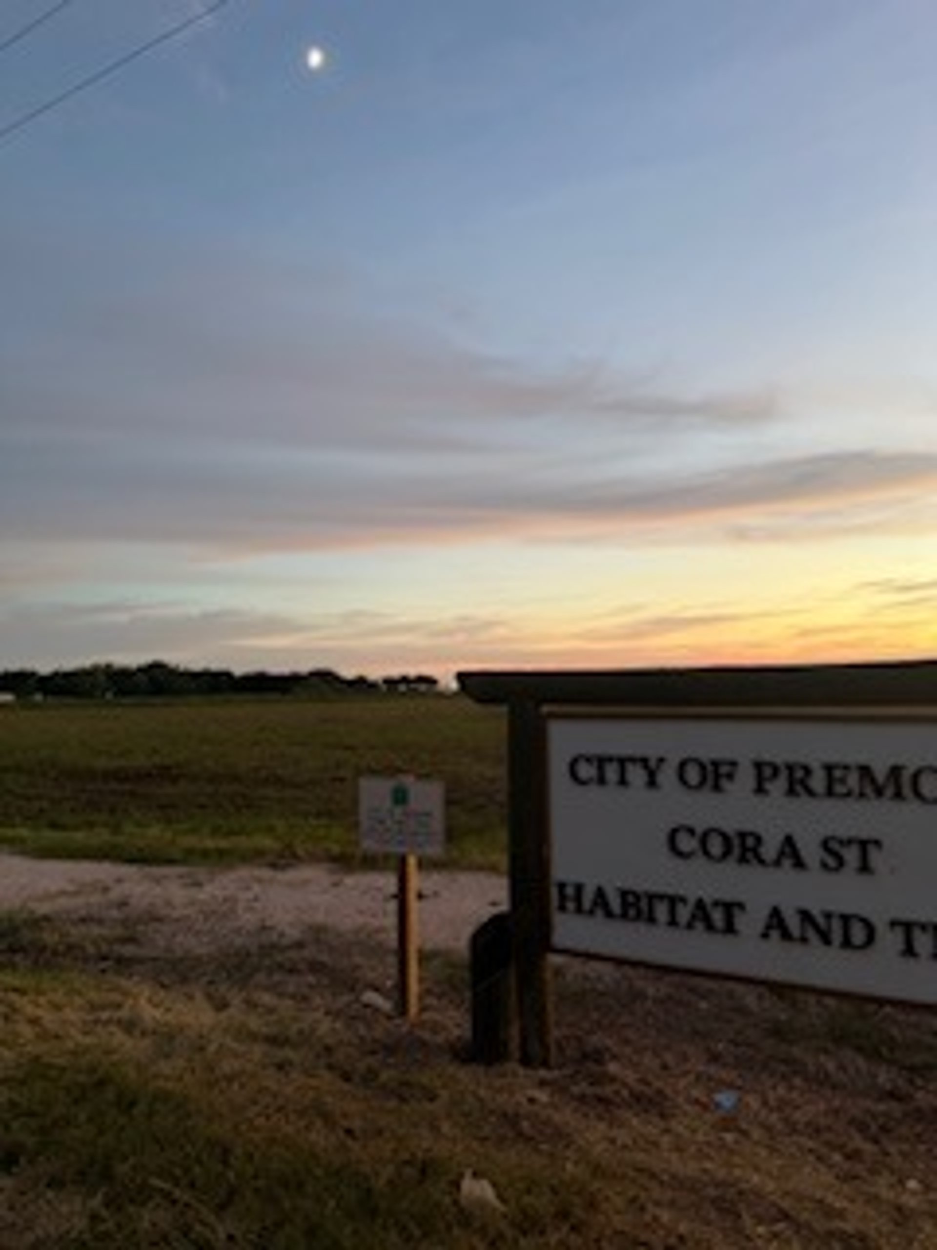 green grass field and trees