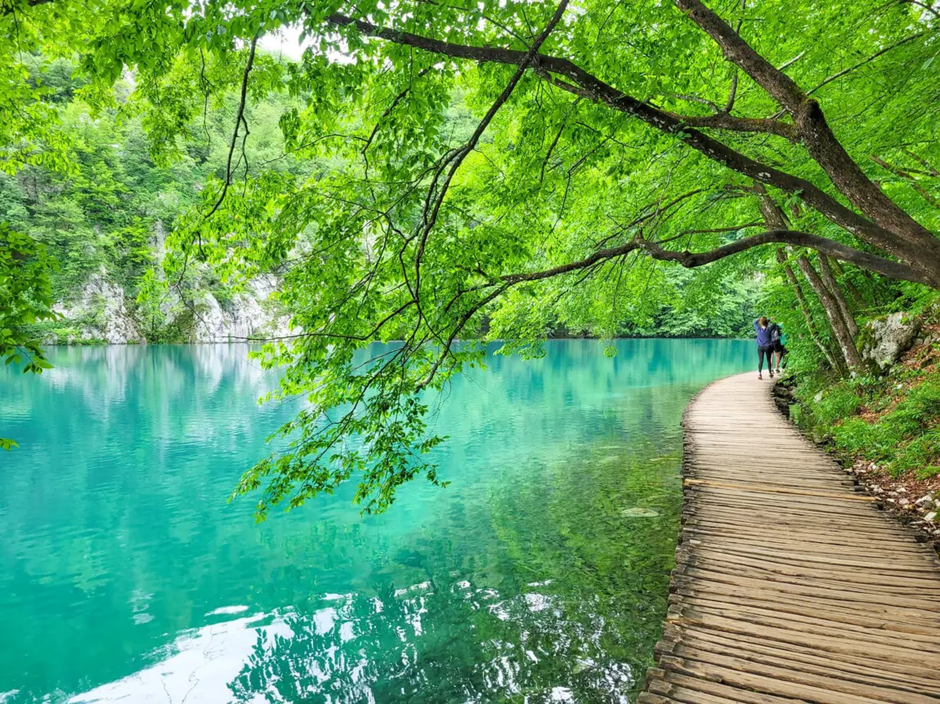 The photo shows amazing nature - a turquoise blue lake and green trees over it, and a small wooden pathway along it. 