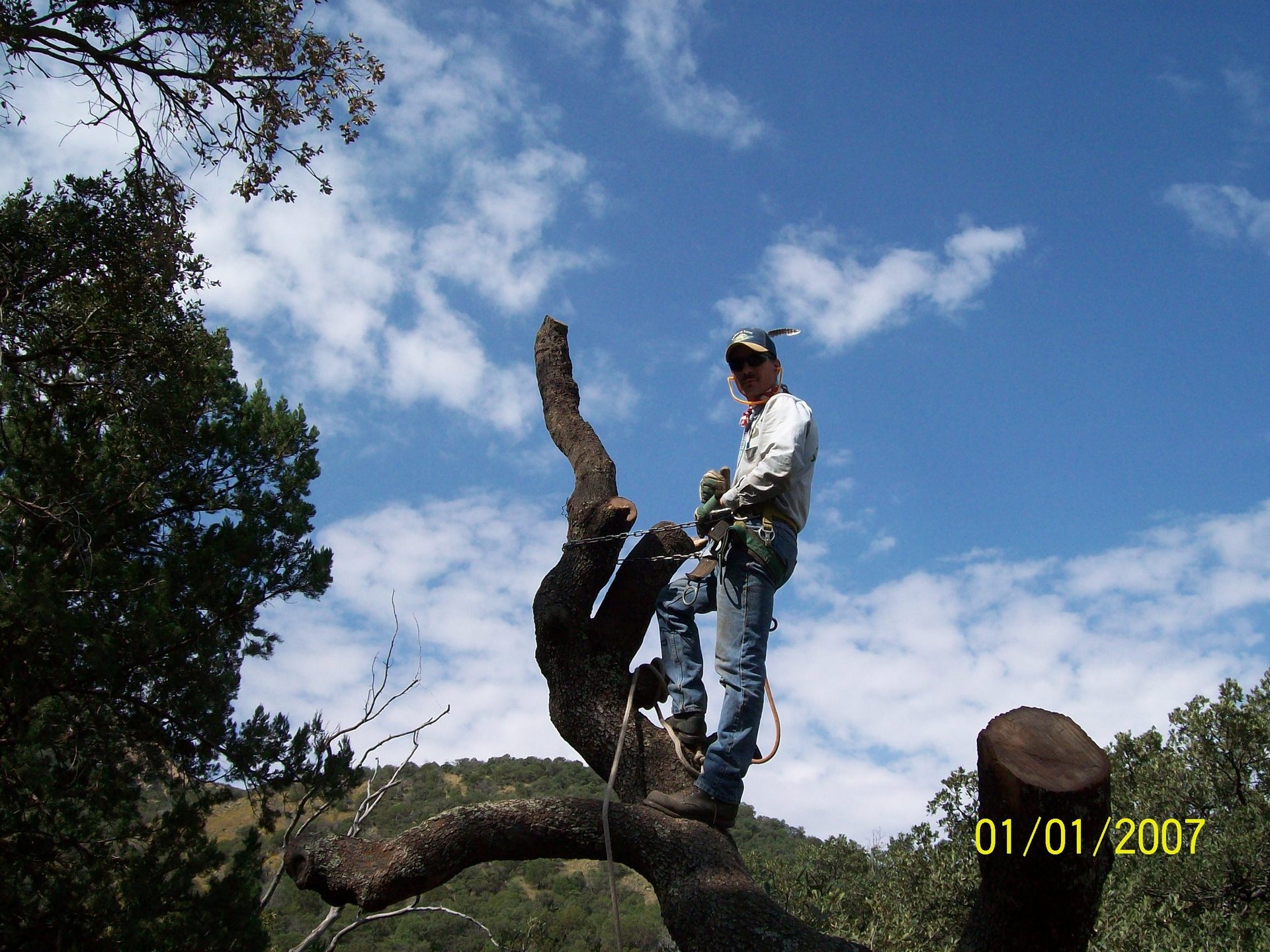 black and brown leather padded tub sofa