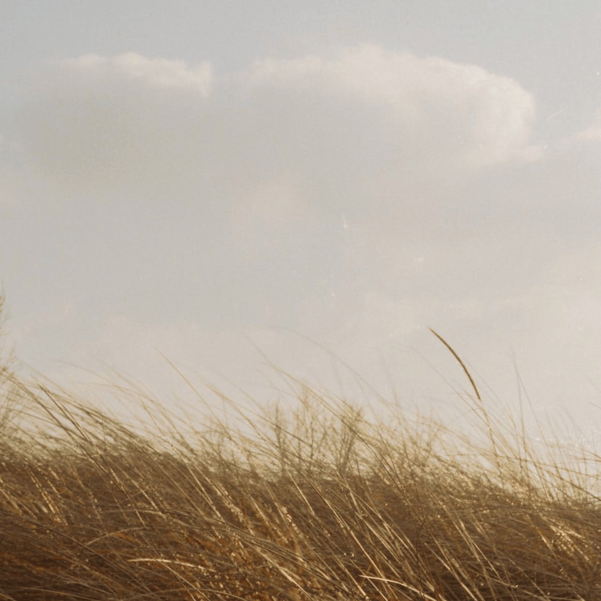 a close up of a black and brown abstract painting