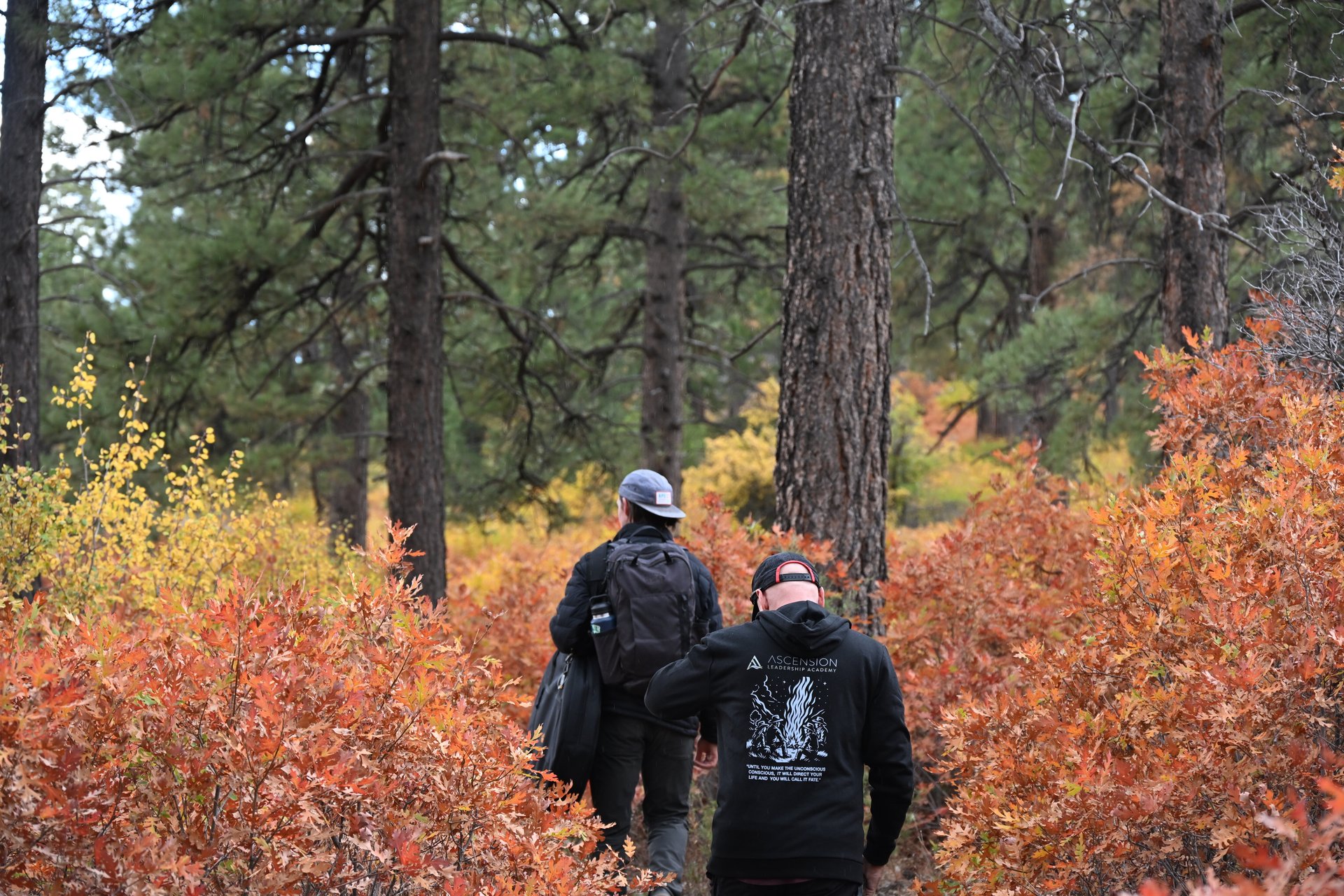 gray computer monitor