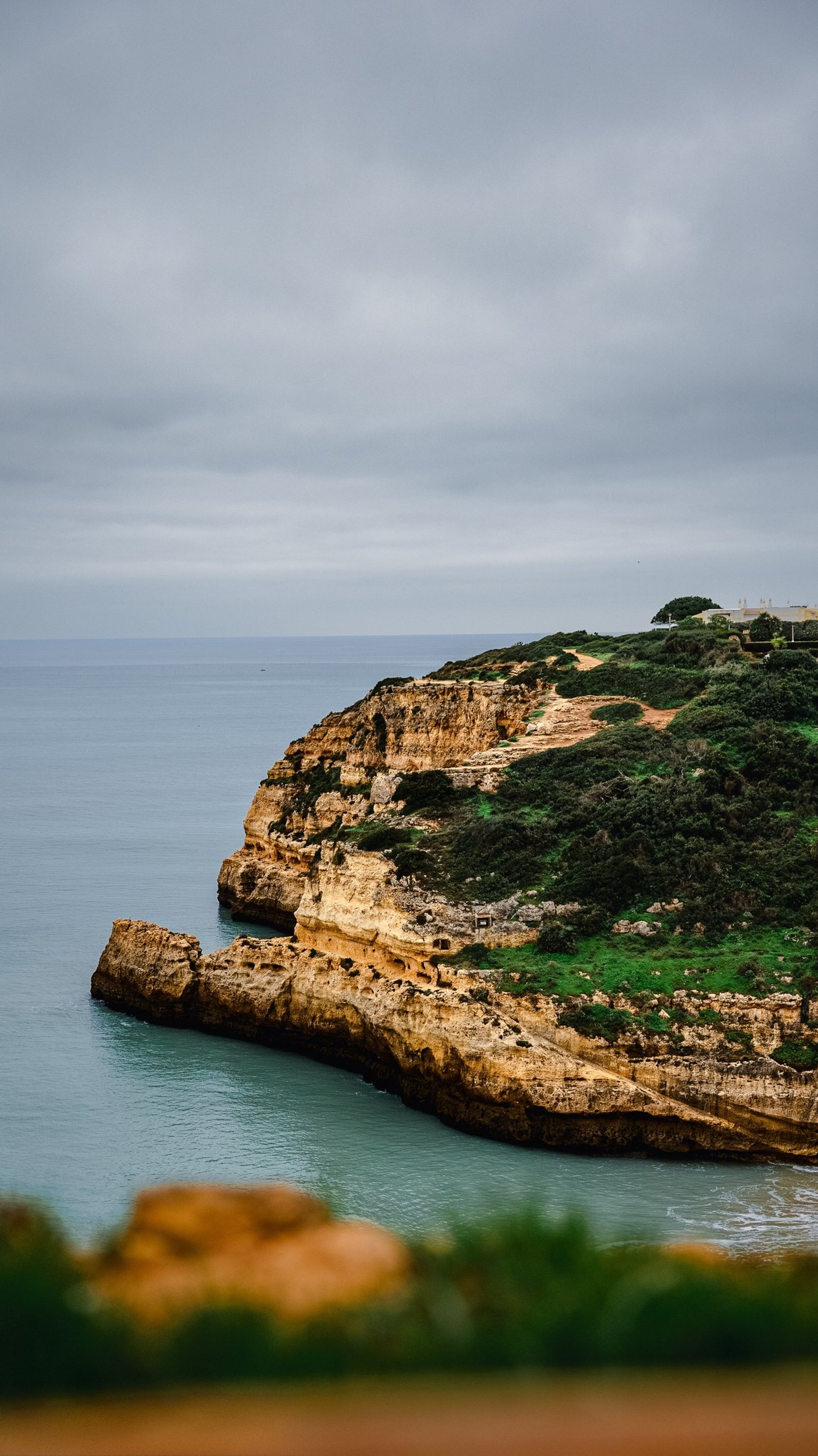 sunlight through trees