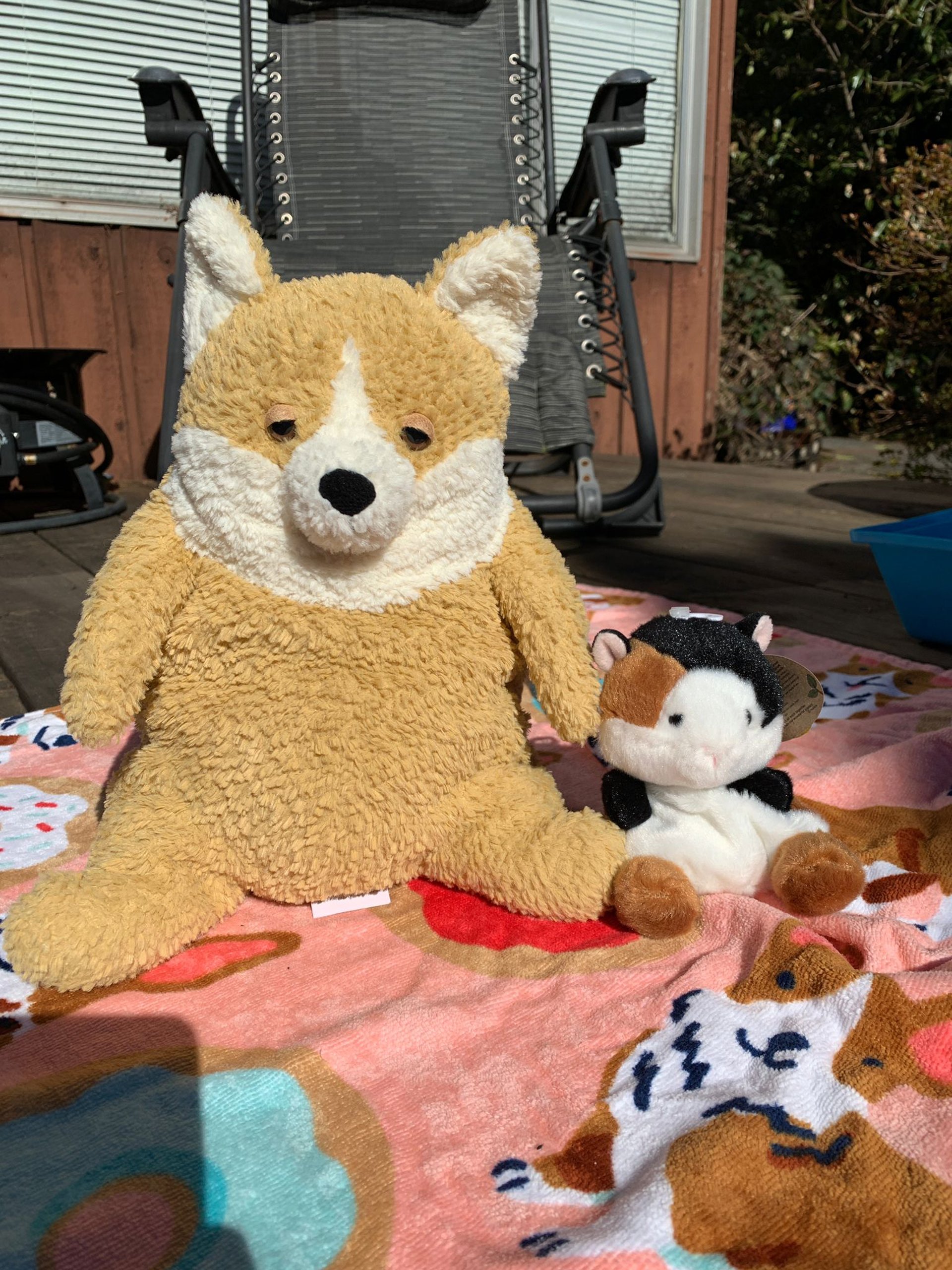 black blue and yellow textile