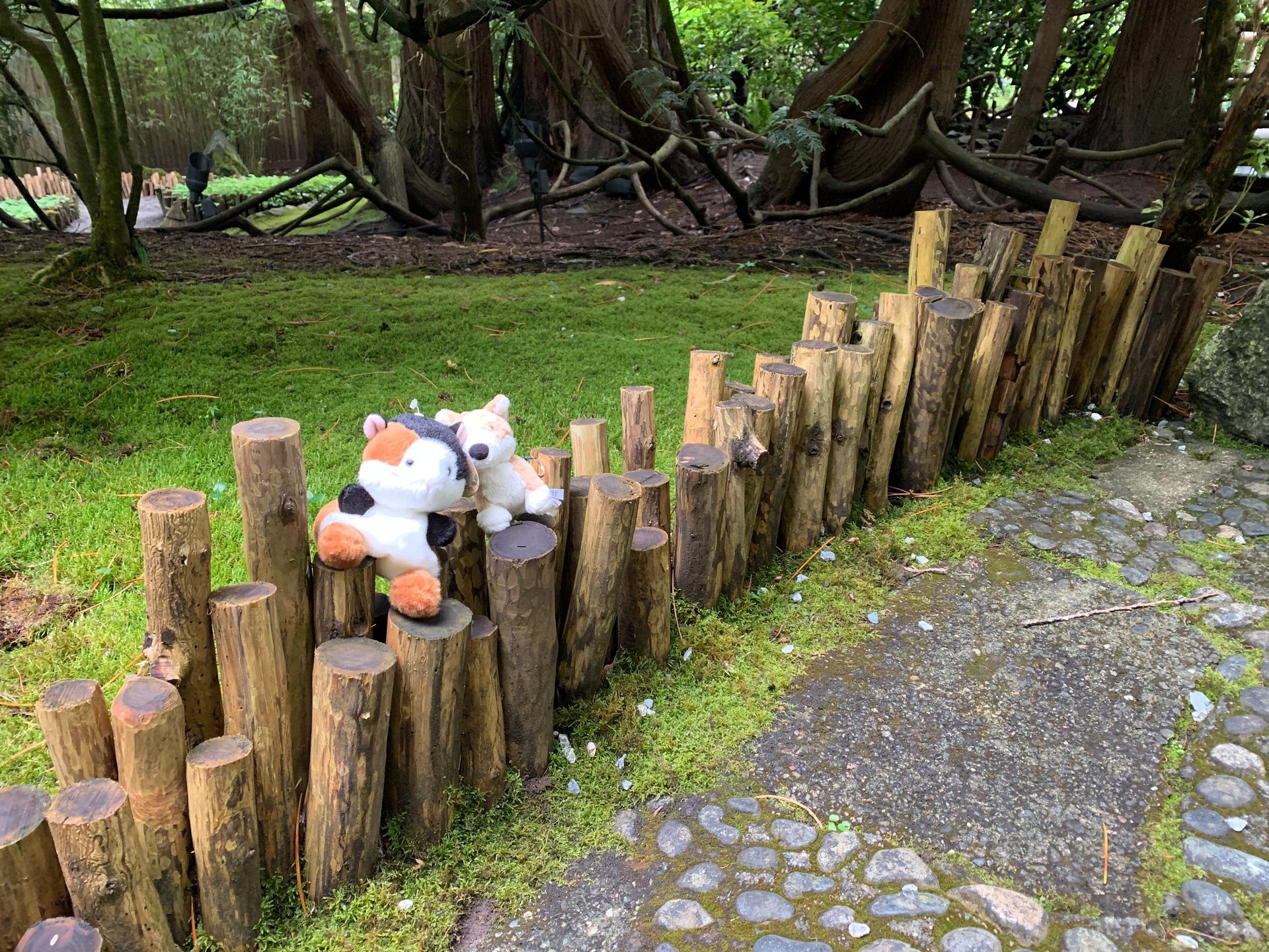 black blue and yellow textile