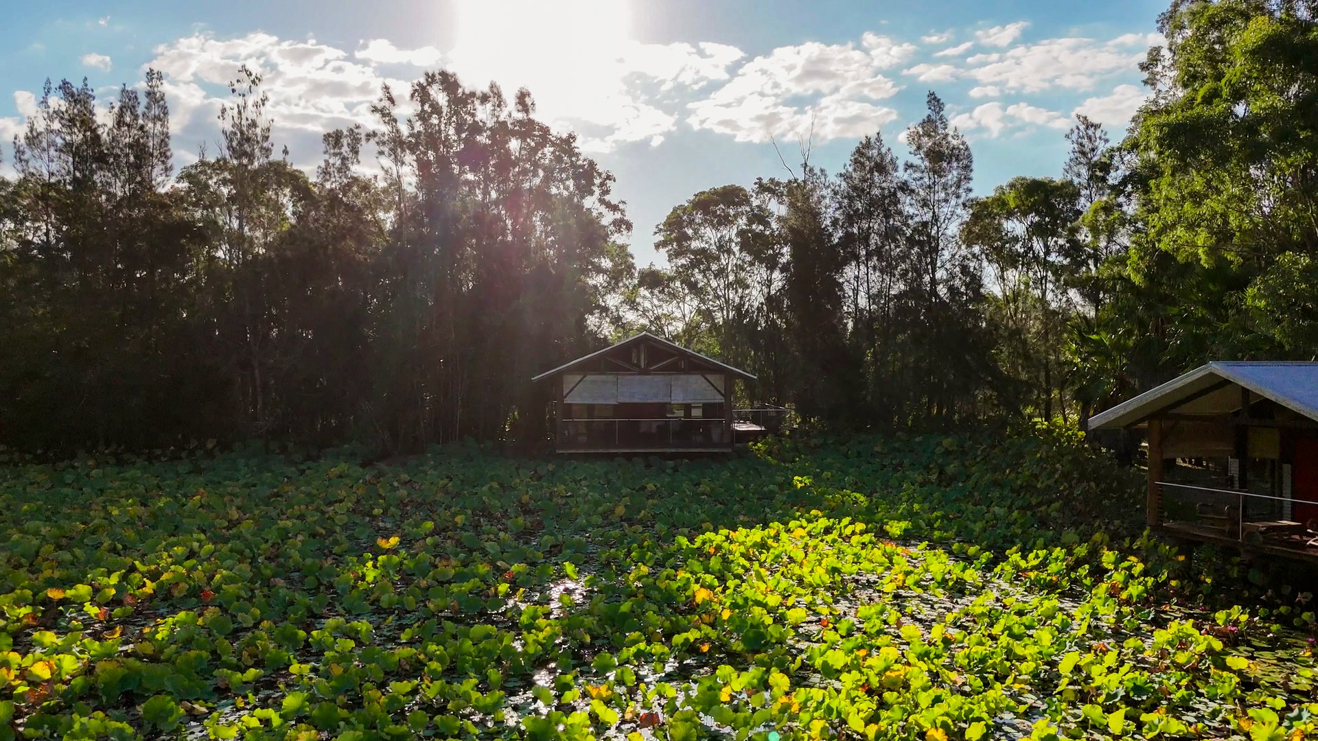 black blue and yellow textile