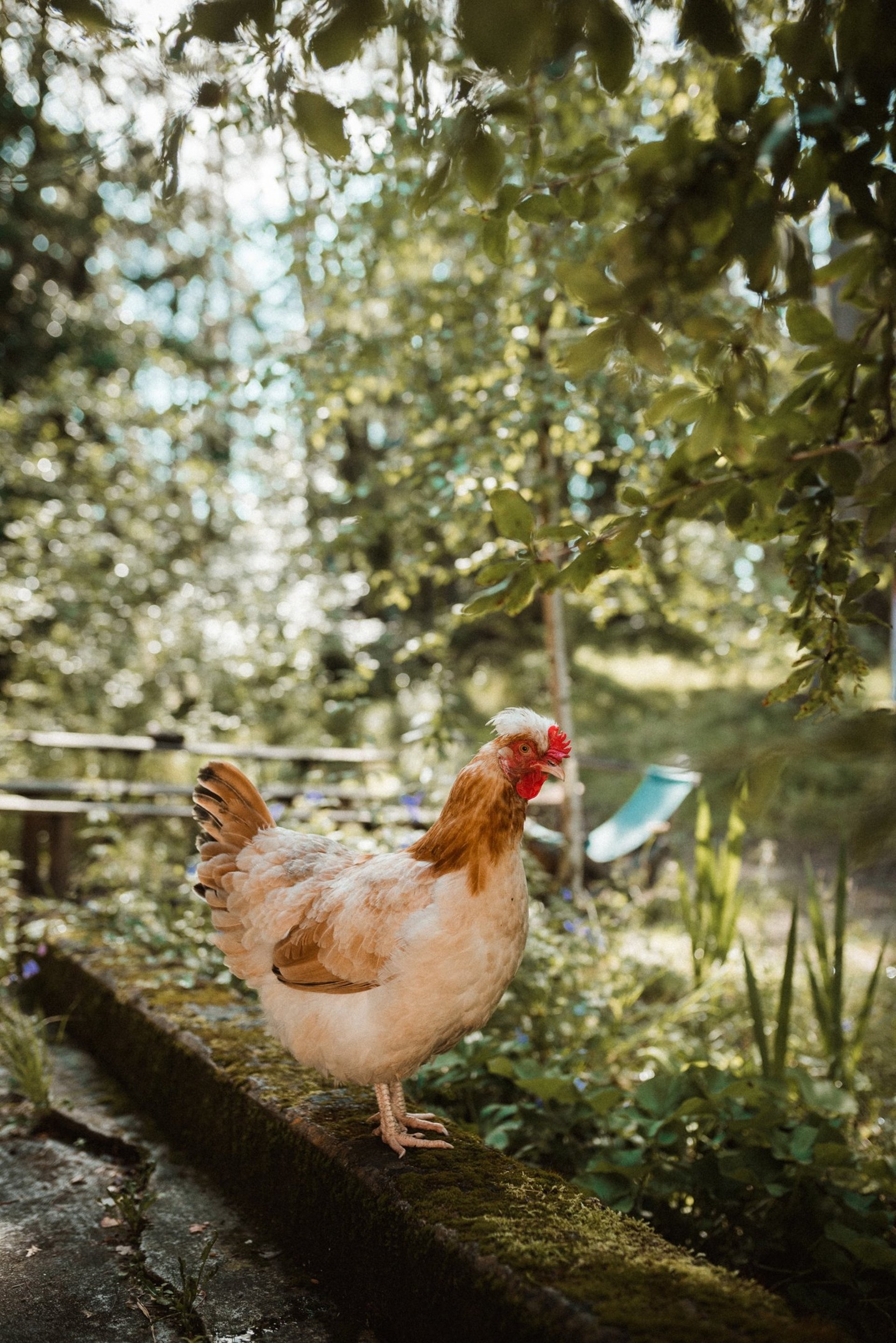 gray computer monitor