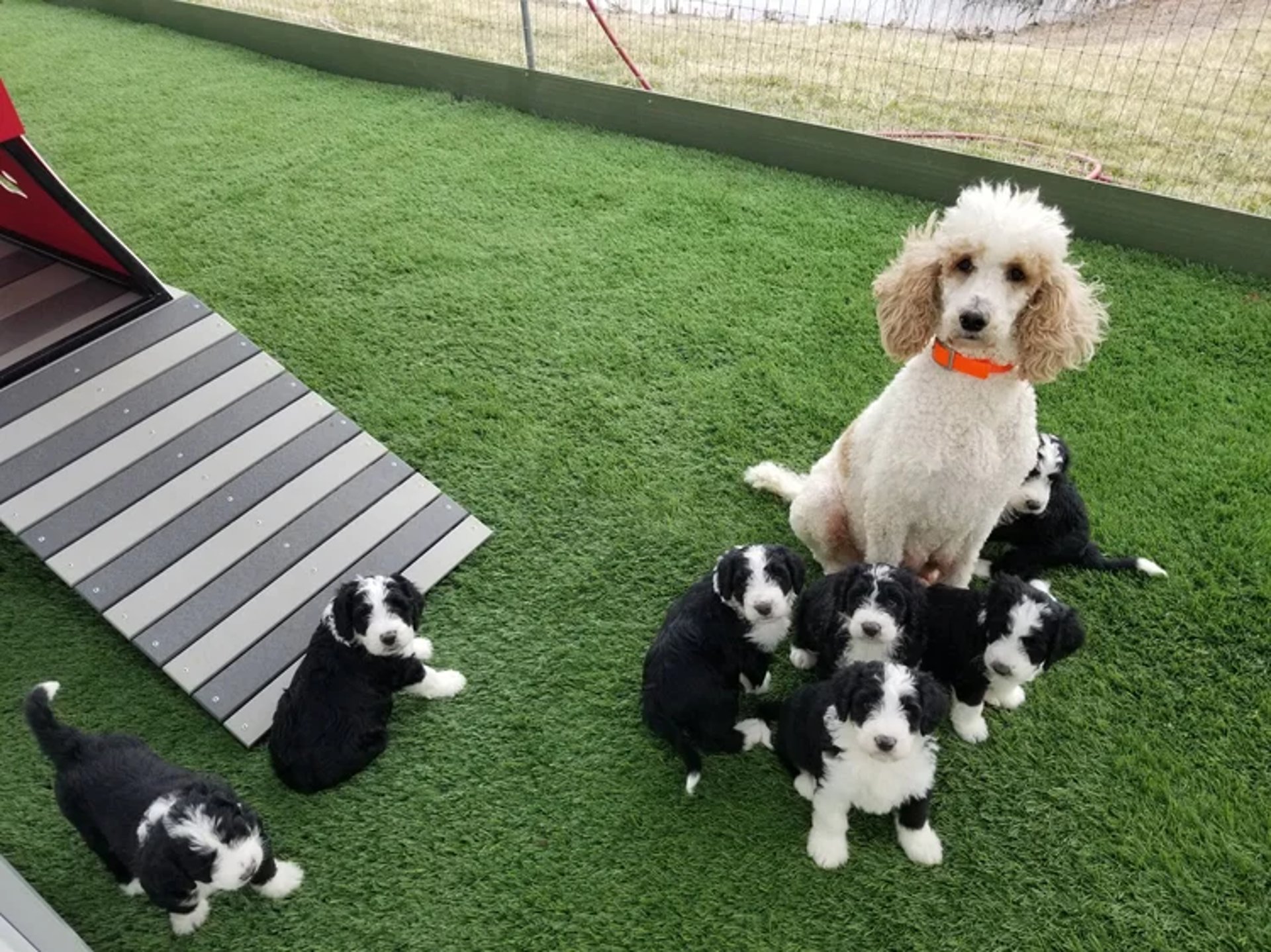 man and woman standing in front of brown concrete building during daytime