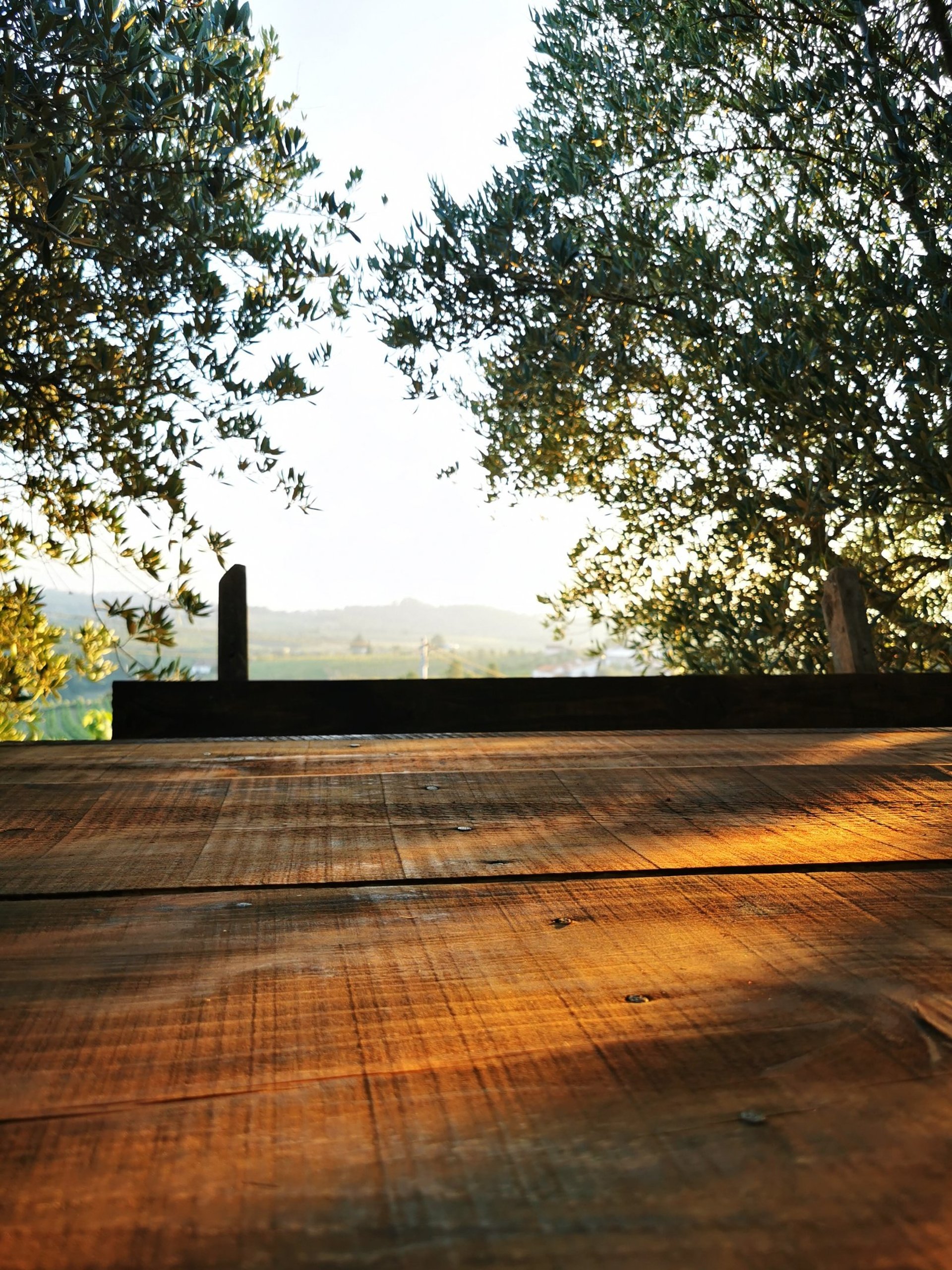 woman wearing yellow long-sleeved dress under white clouds and blue sky during daytime