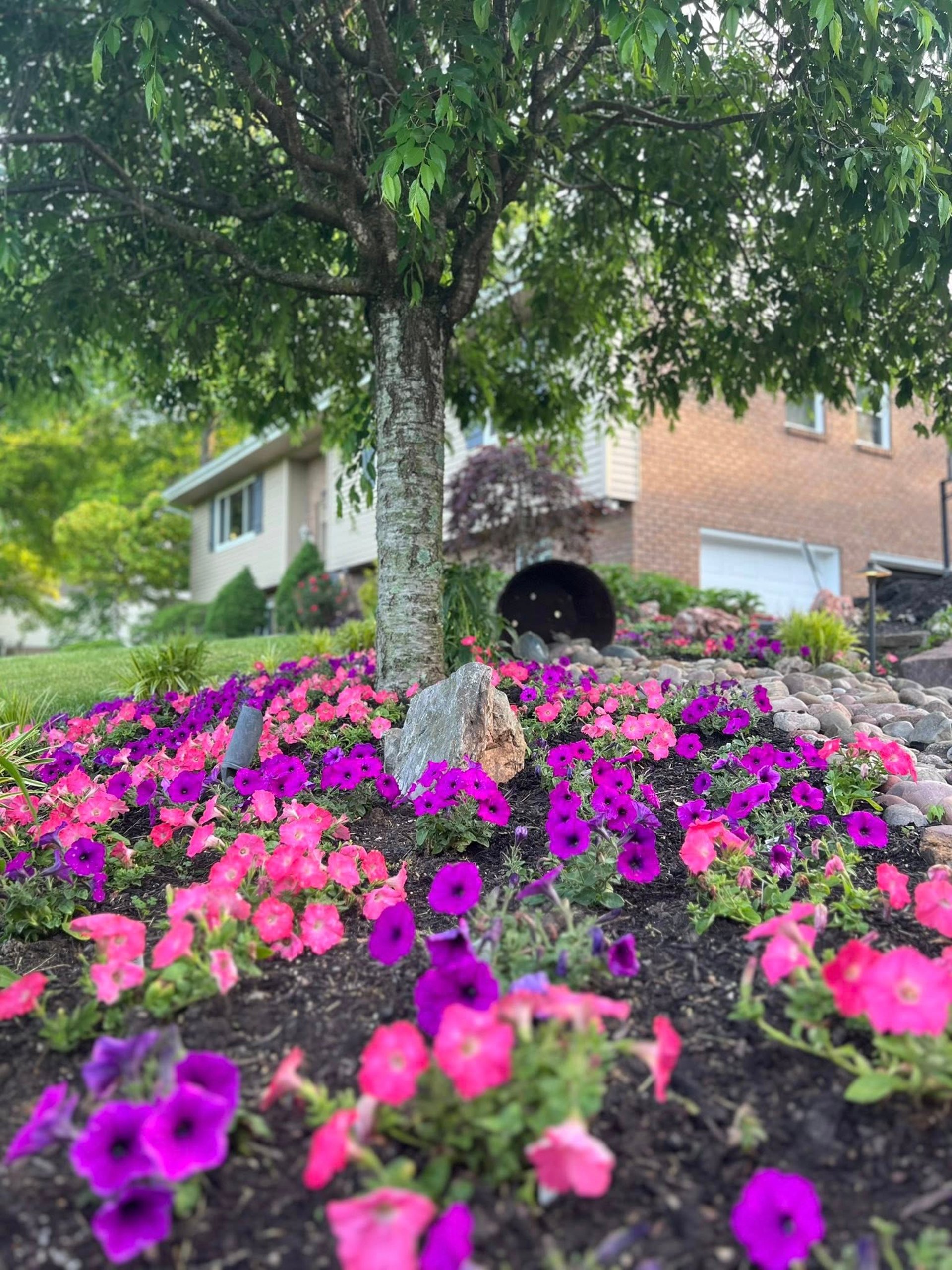woman wearing yellow long-sleeved dress under white clouds and blue sky during daytime