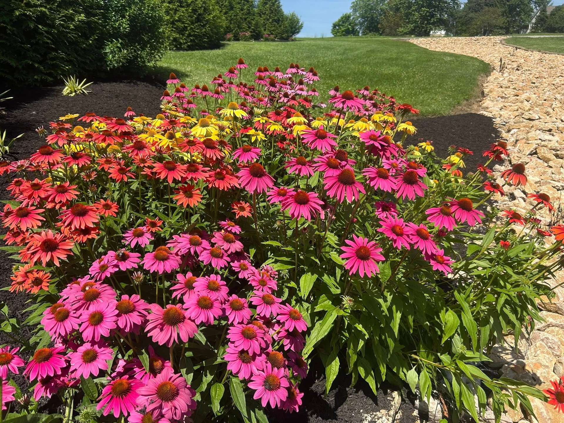 woman wearing yellow long-sleeved dress under white clouds and blue sky during daytime