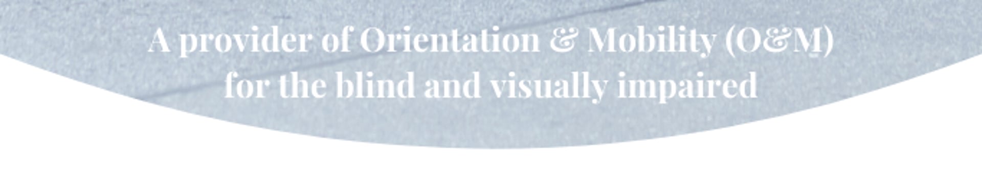 cane service for the blind and visually impaired