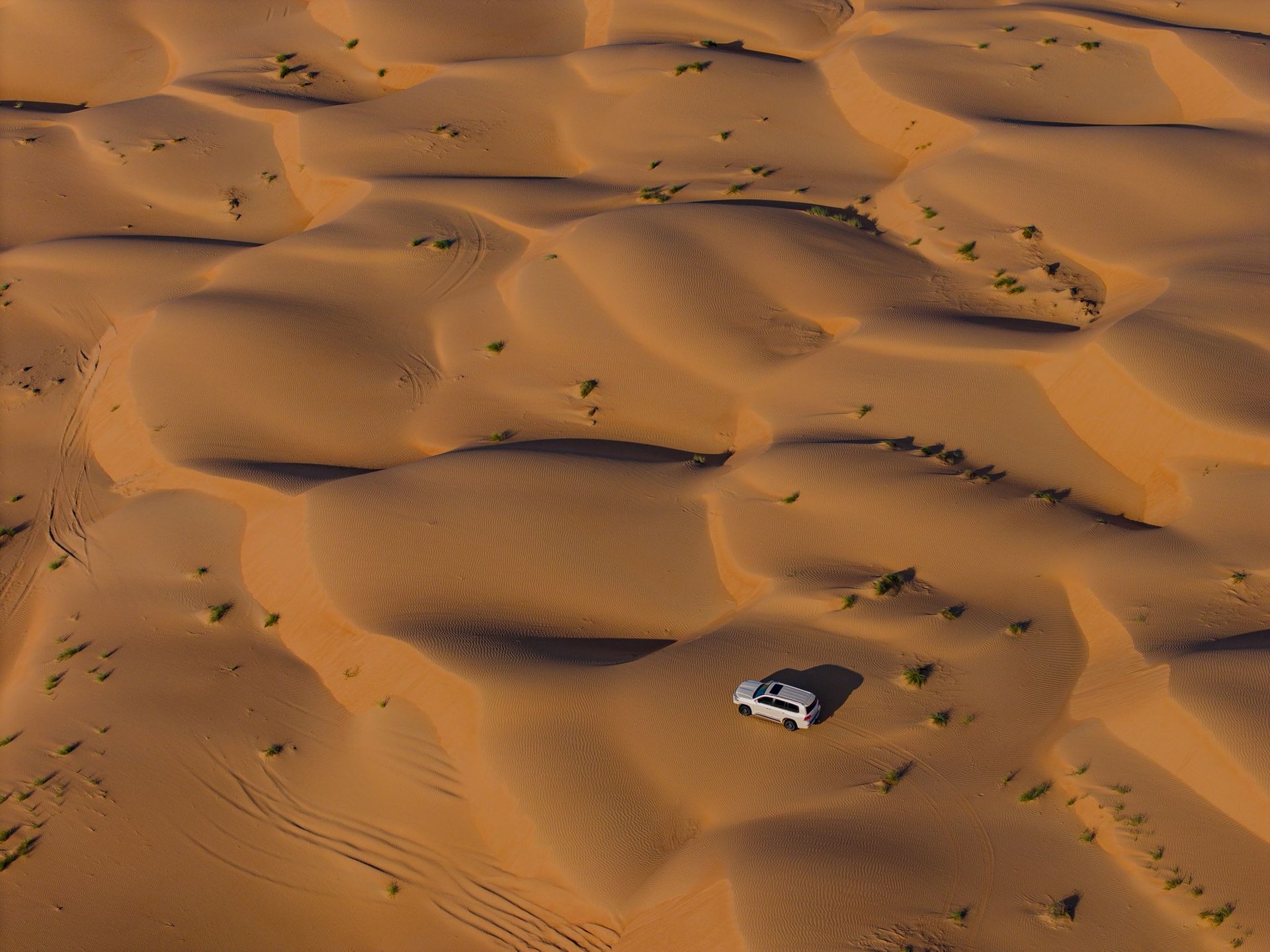 gray computer monitor