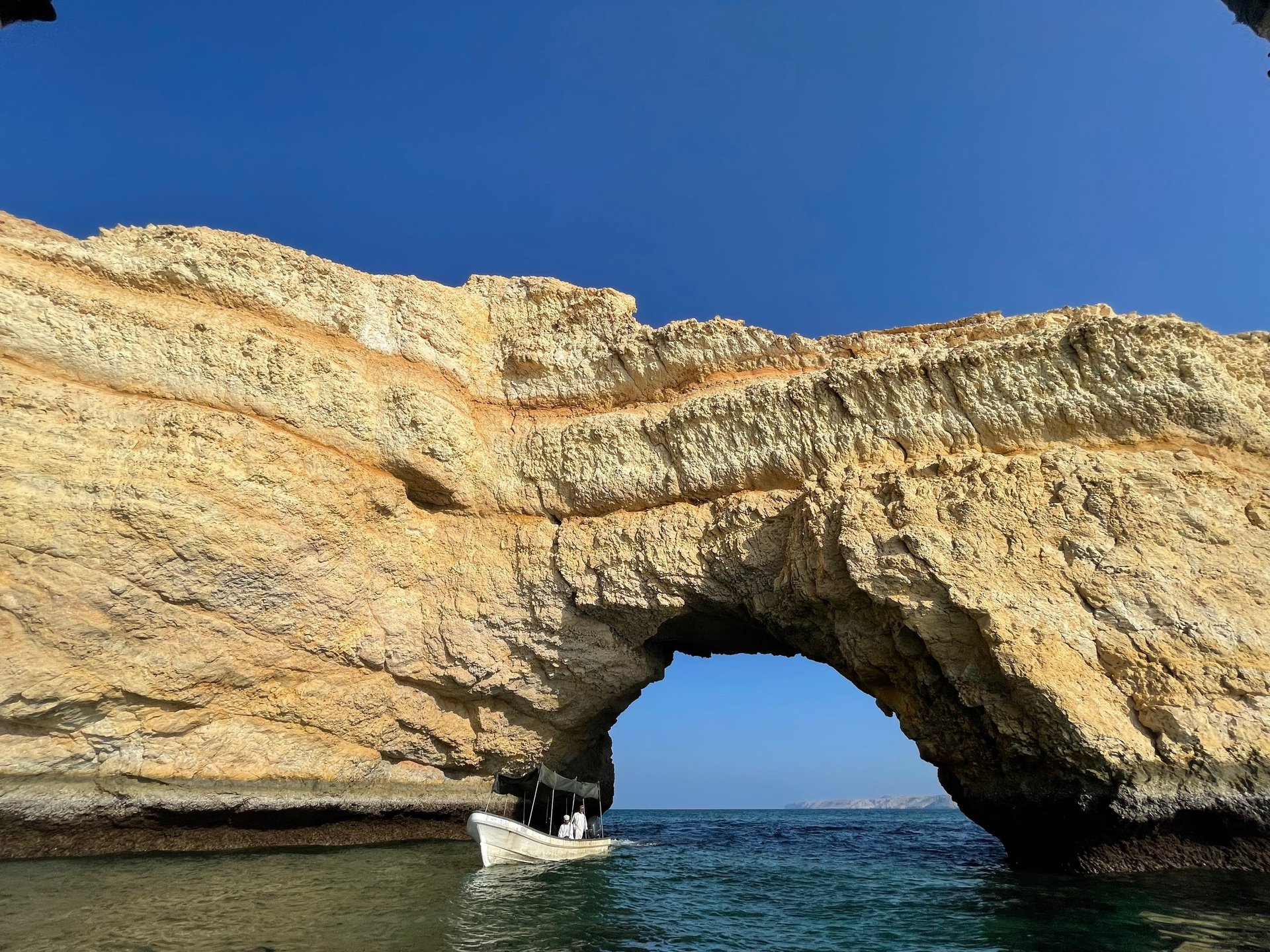 brown camel on desert during daytime