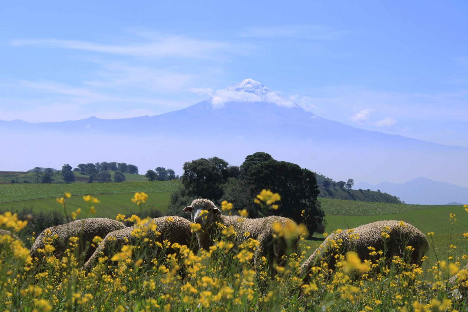 a view of a snow covered mountain from a bridge