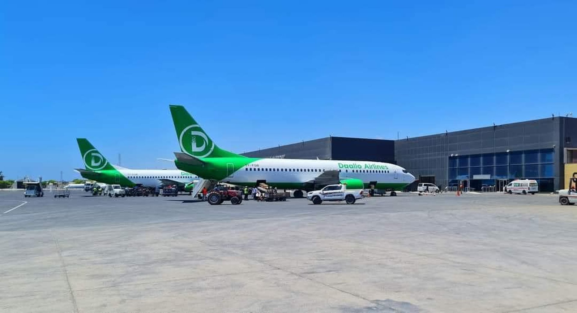 woman wearing yellow long-sleeved dress under white clouds and blue sky during daytime