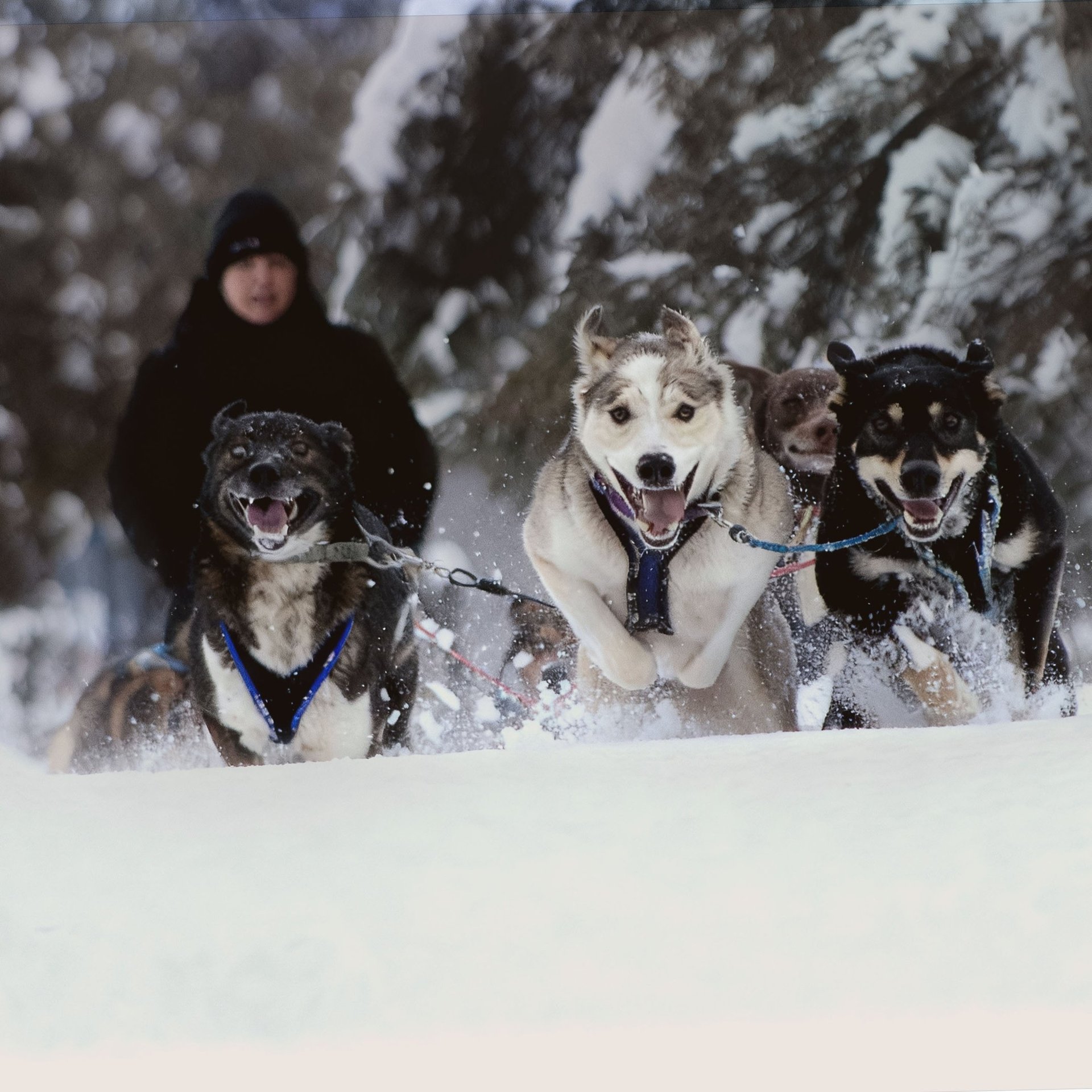 an abstract photo of a curved building with a blue sky in the background