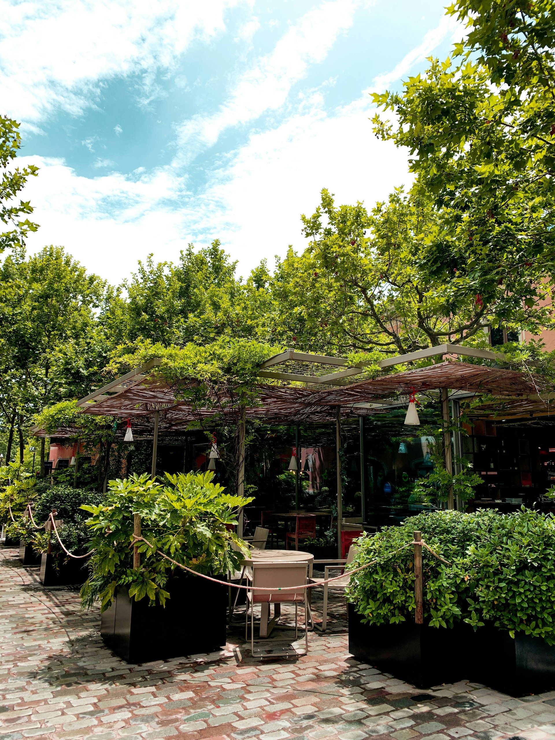 Large tree with log seats and outdoor tables