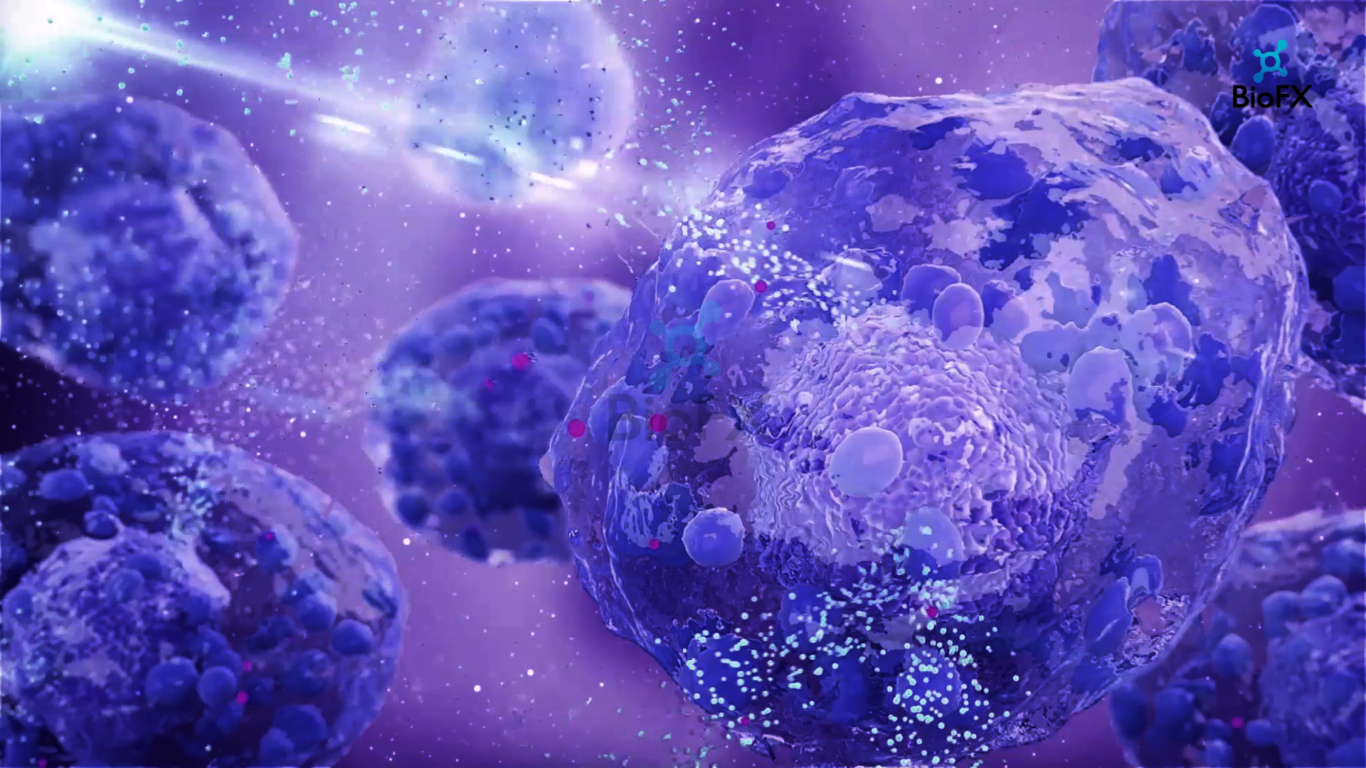 gray computer monitor