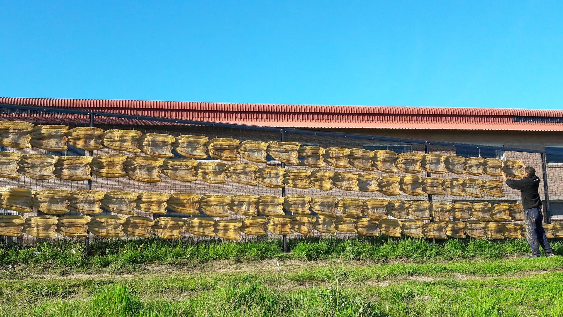 woman holding dried flower