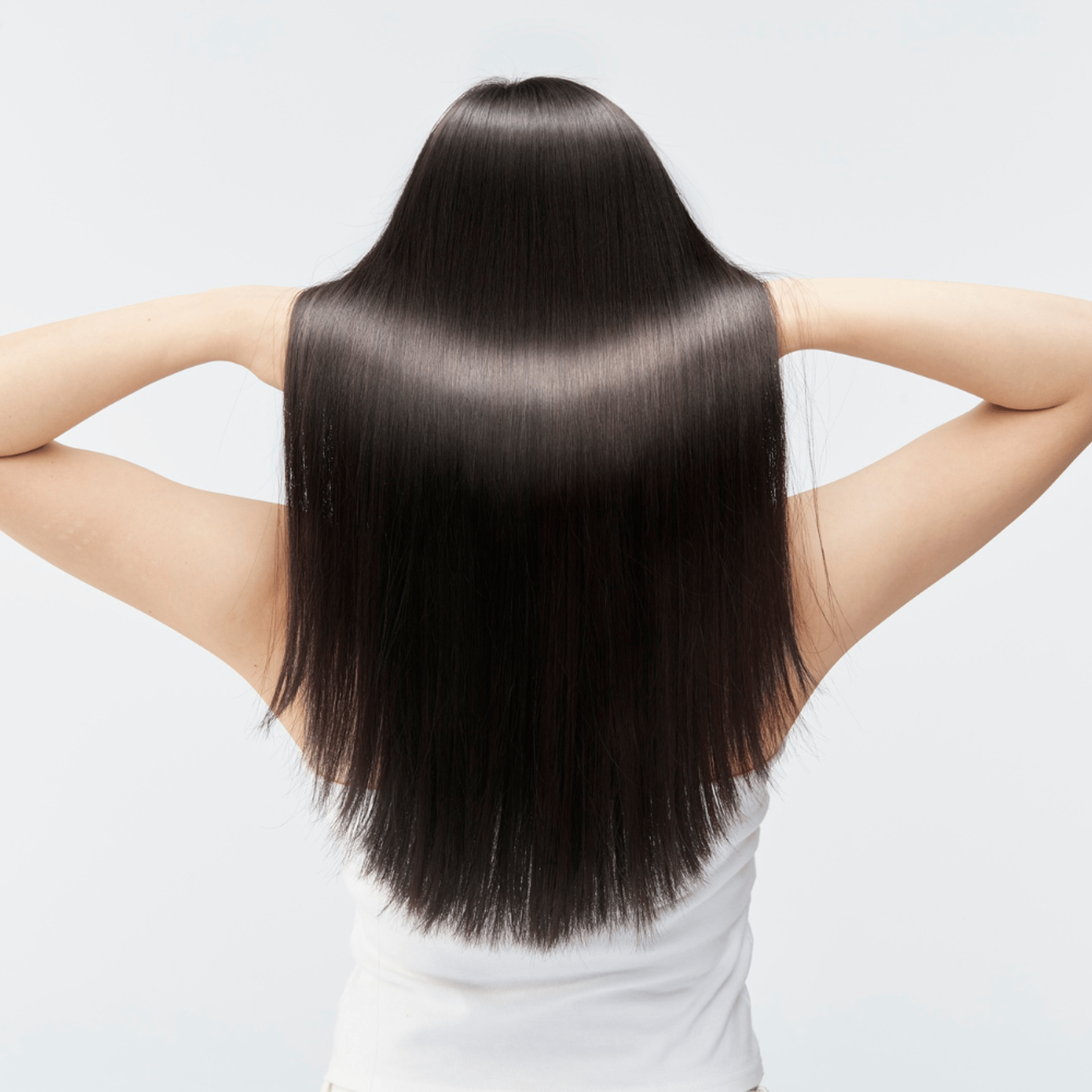 Premium Coloration