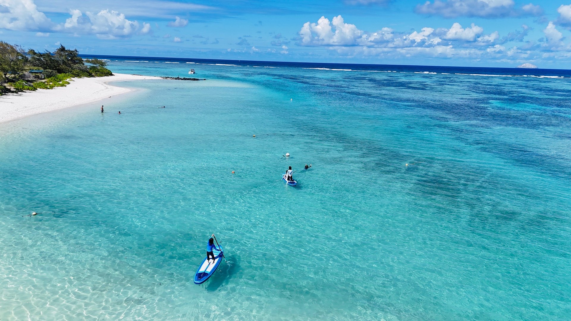 black and white bed linen