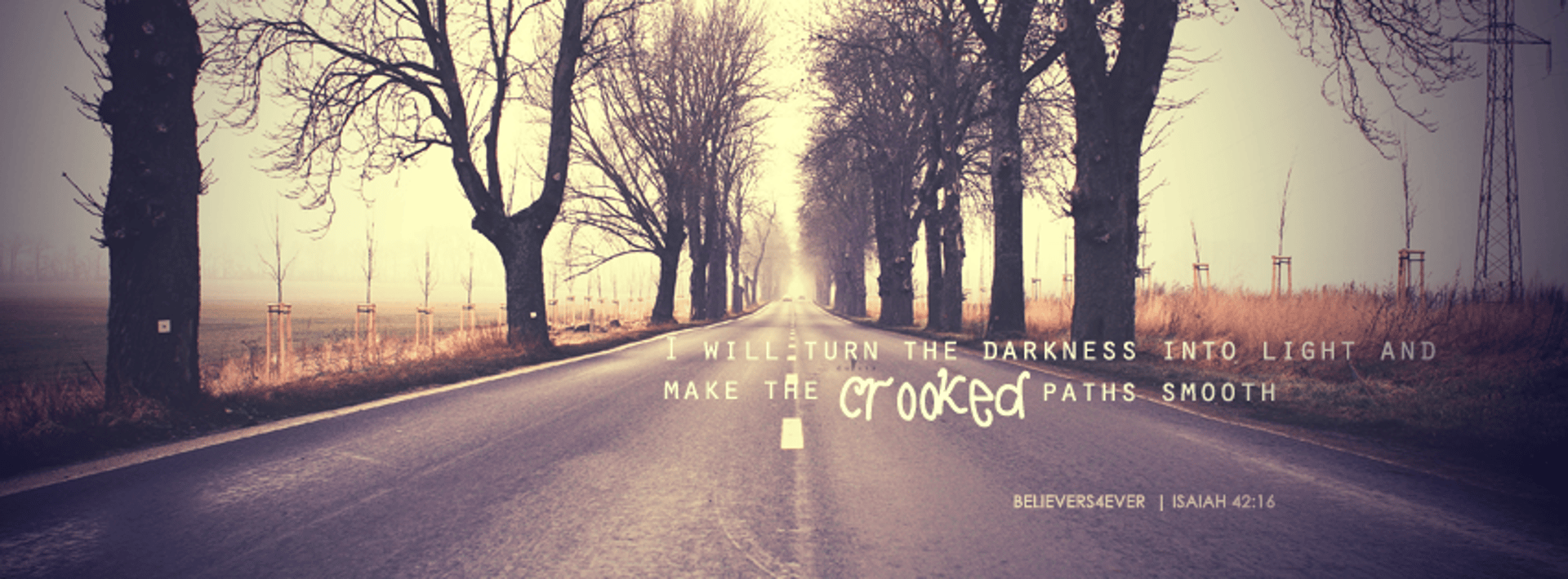 person sitting by the table opening book