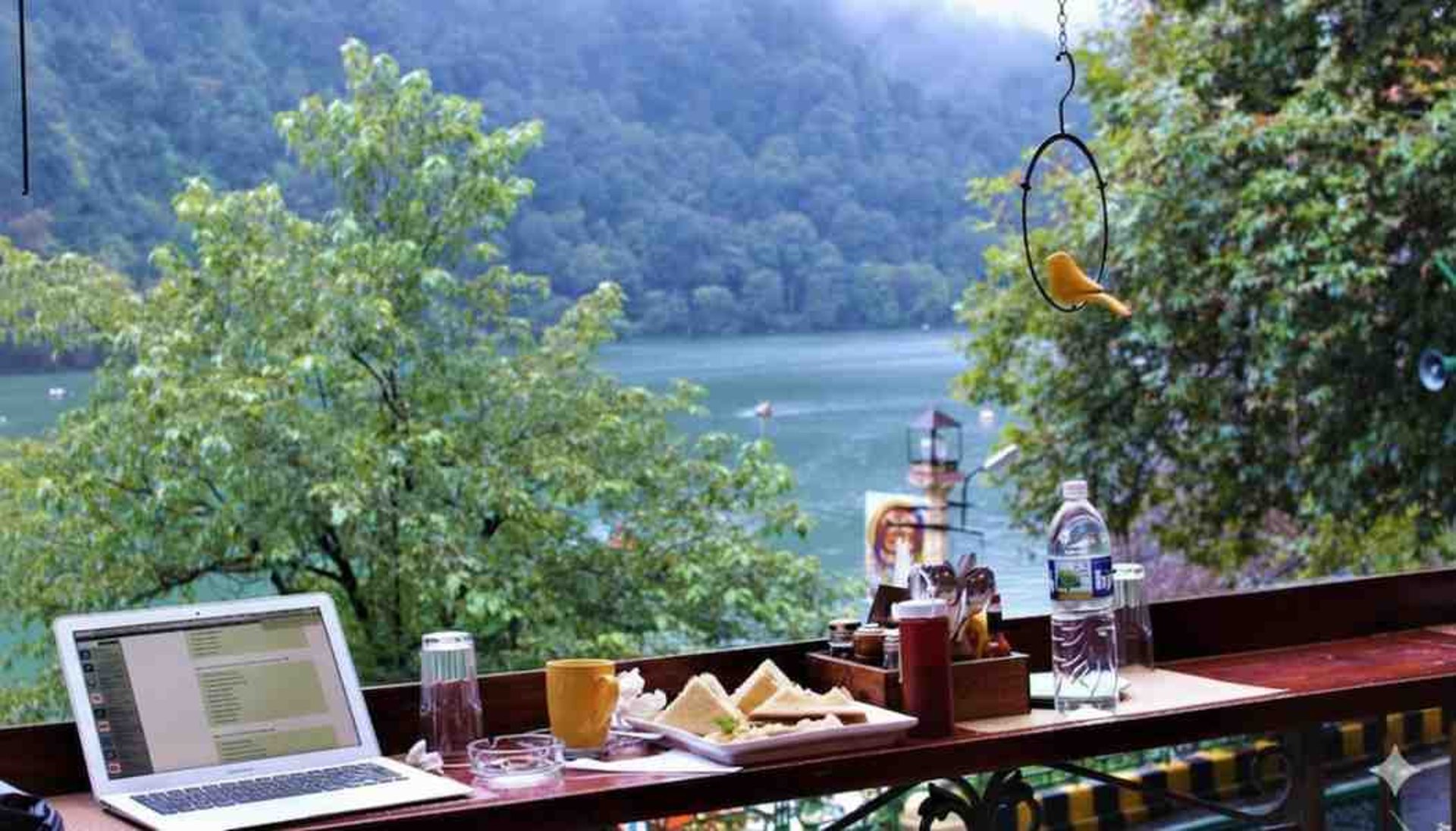 water falls in the forest