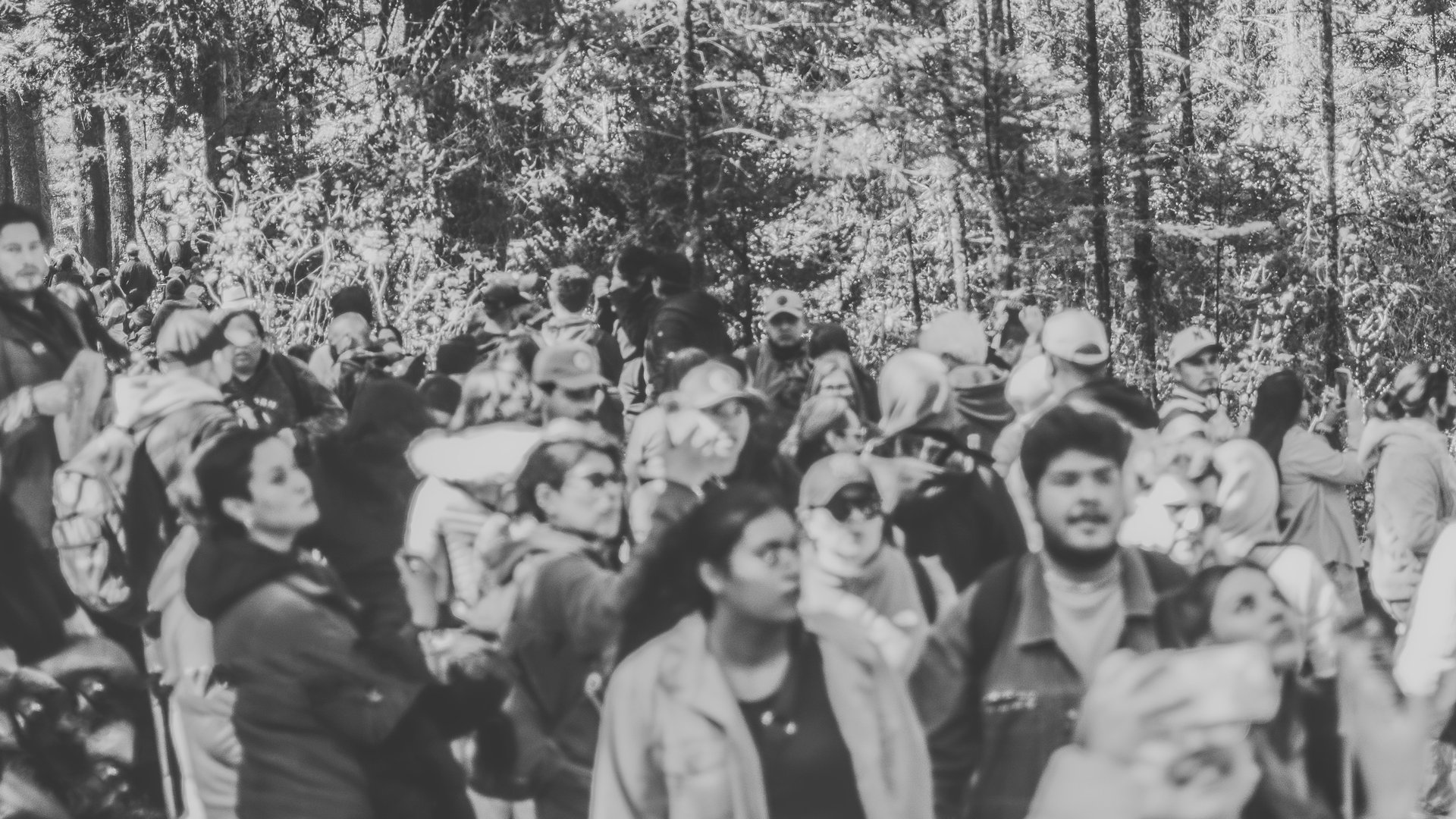 an abstract photo of a curved building with a blue sky in the background