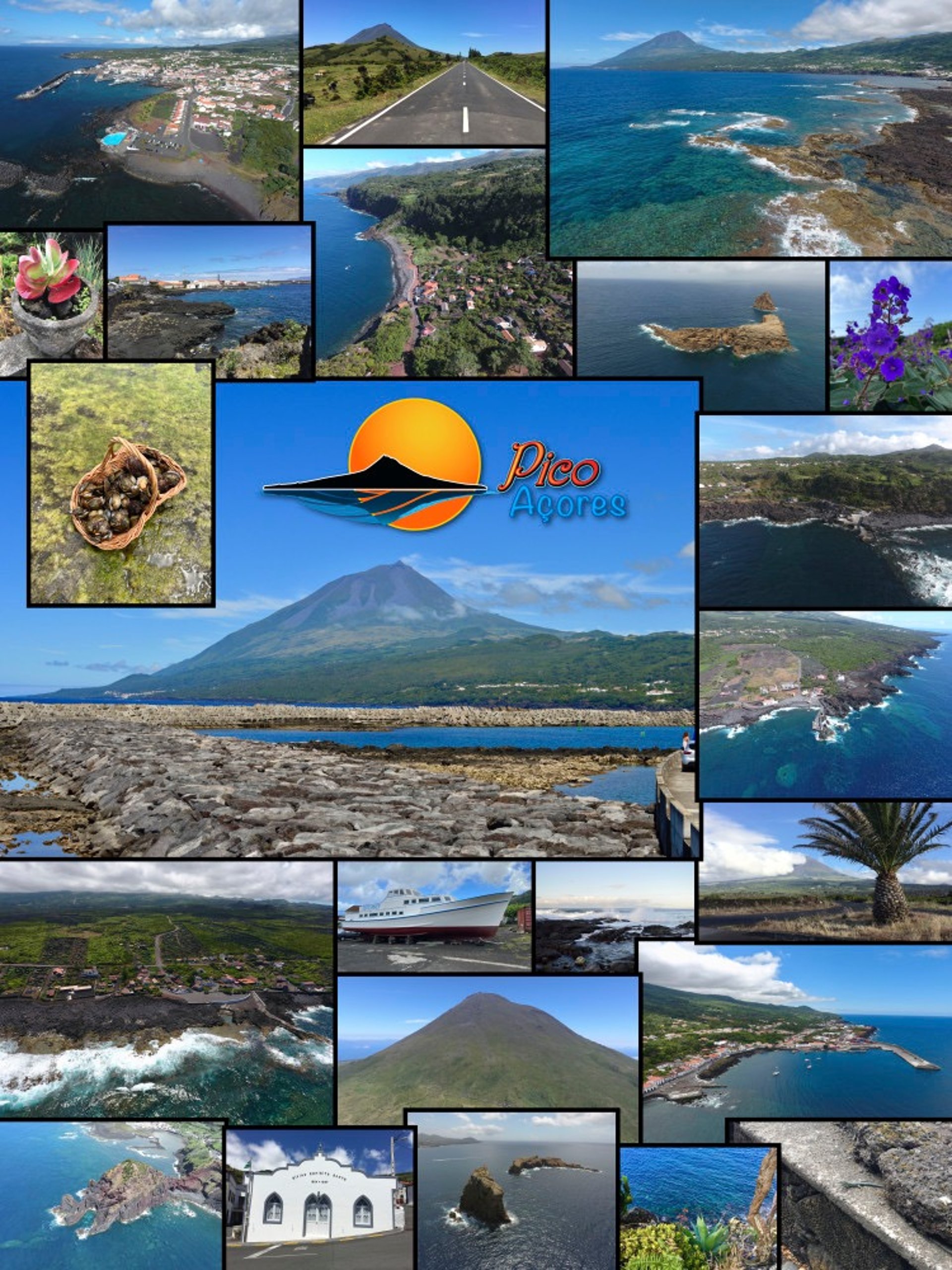 woman holding dried flower