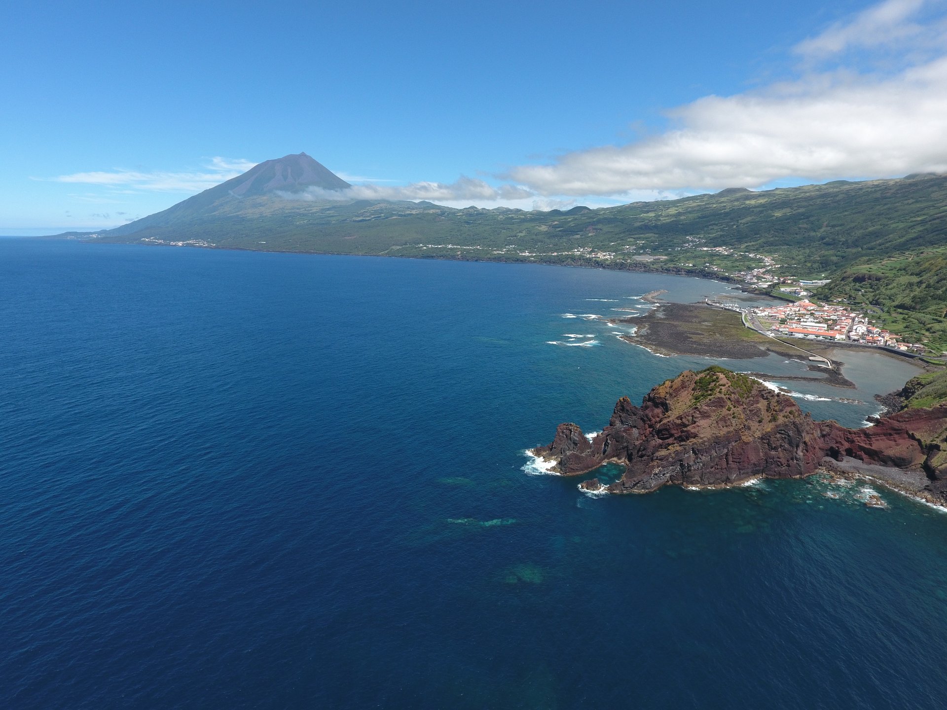 woman holding dried flower