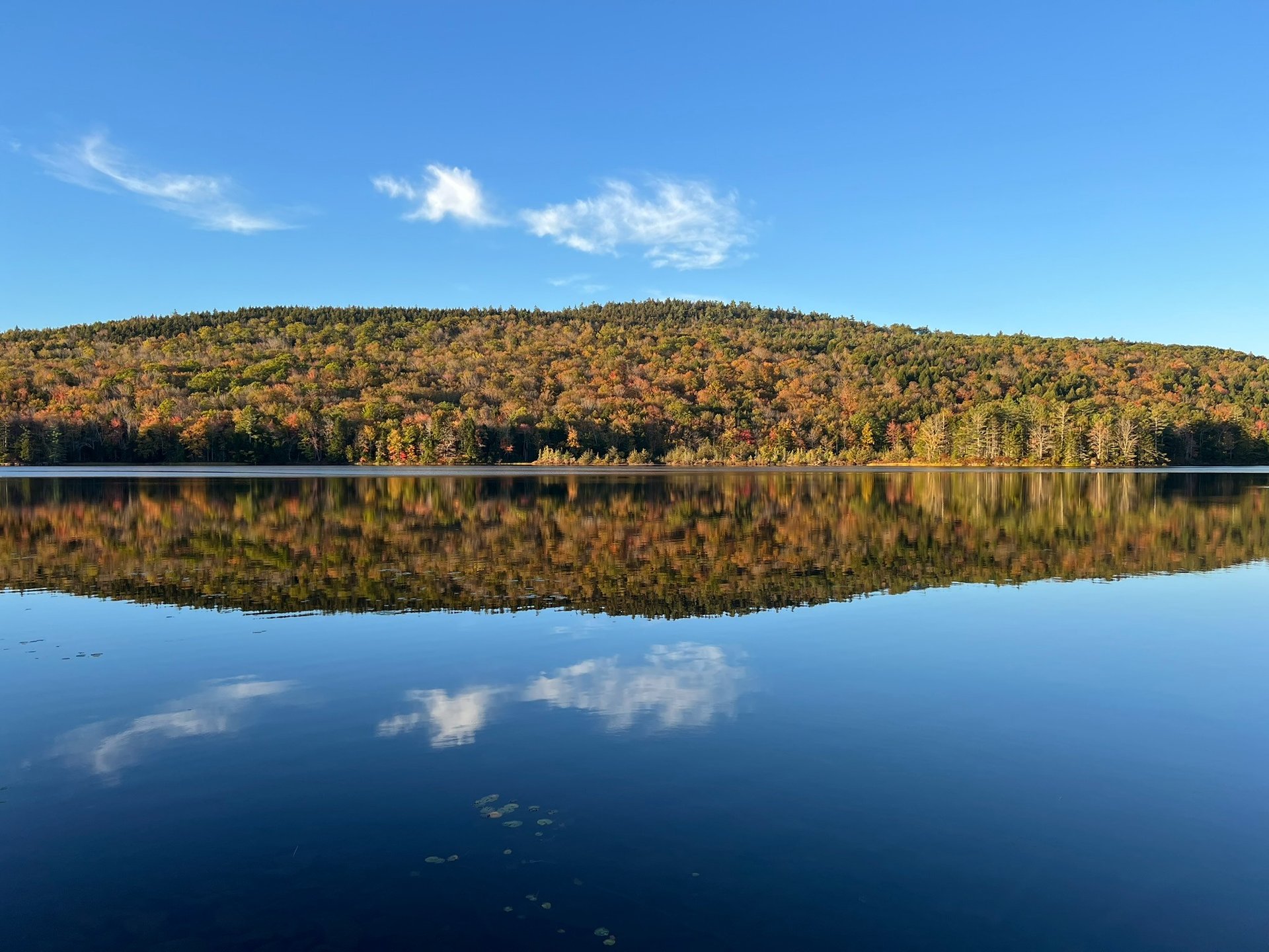brown rocks near body of water during daytime