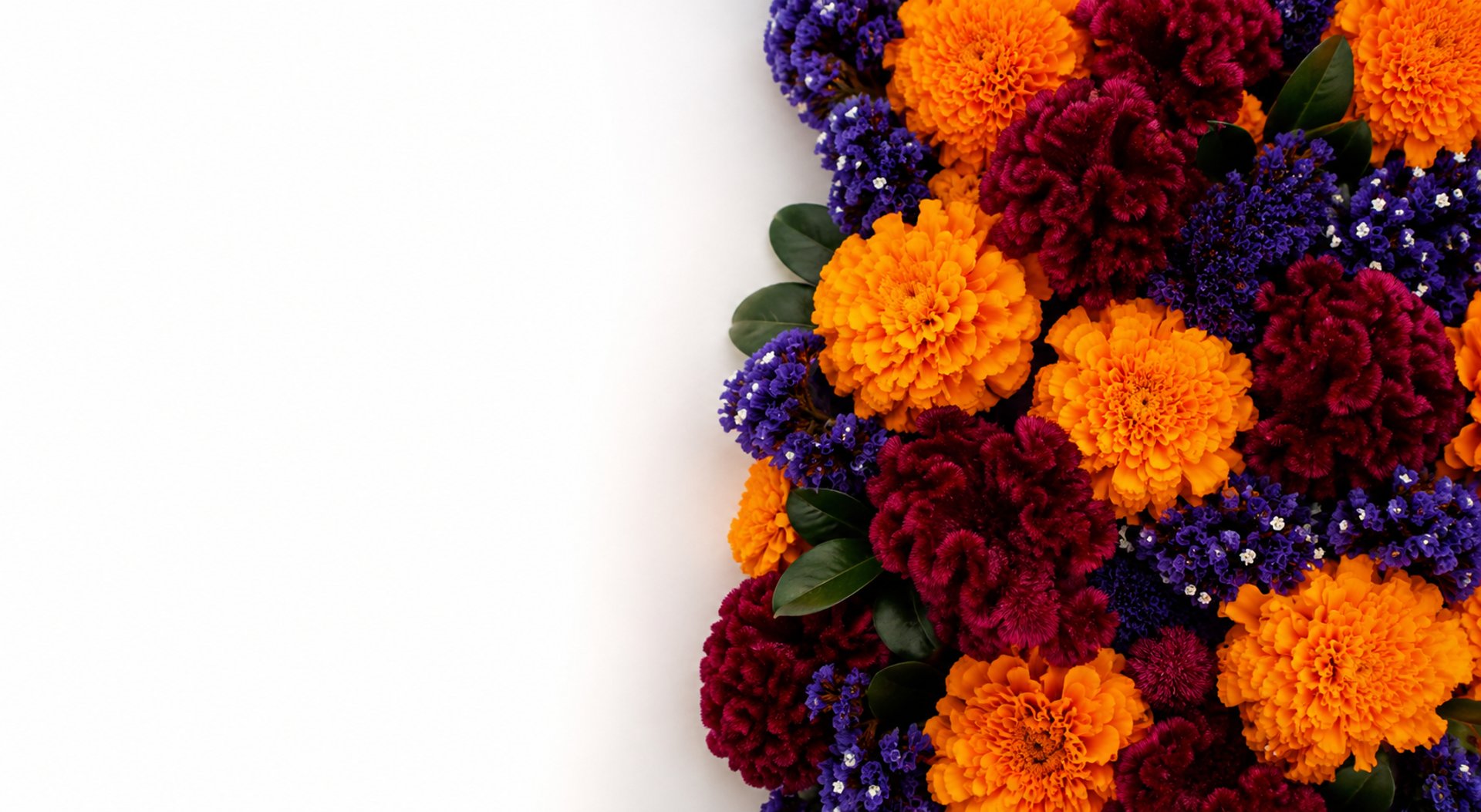 woman holding dried flower