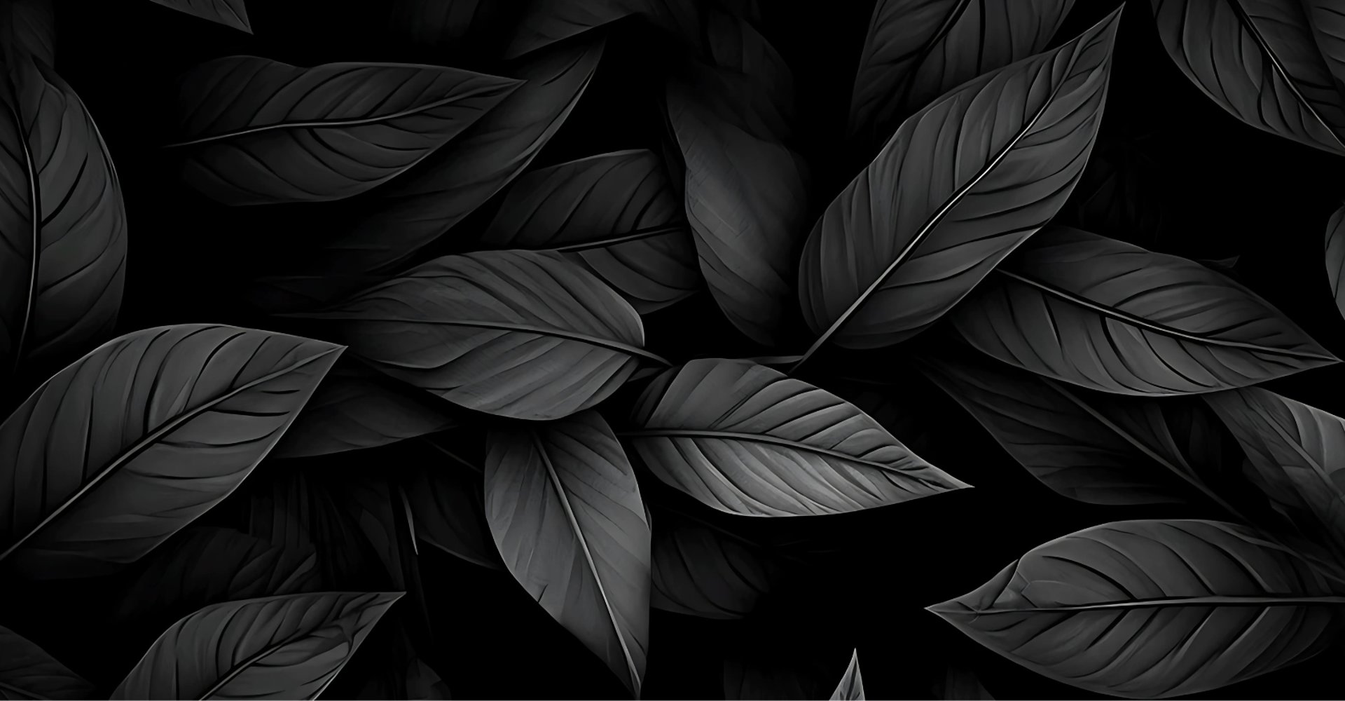 black and white bed linen