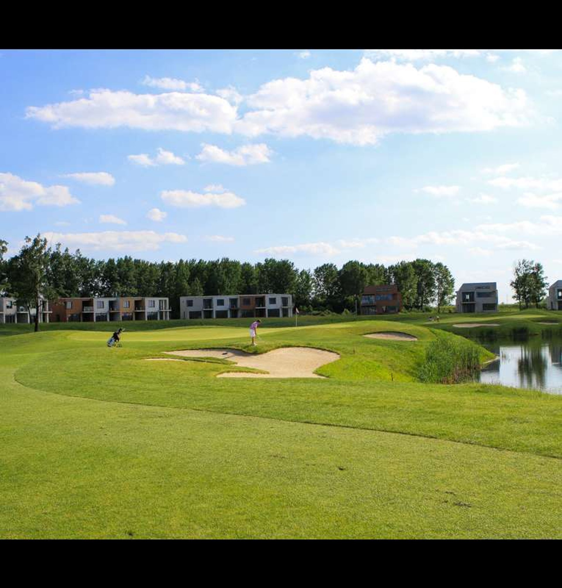 black and white bed linen