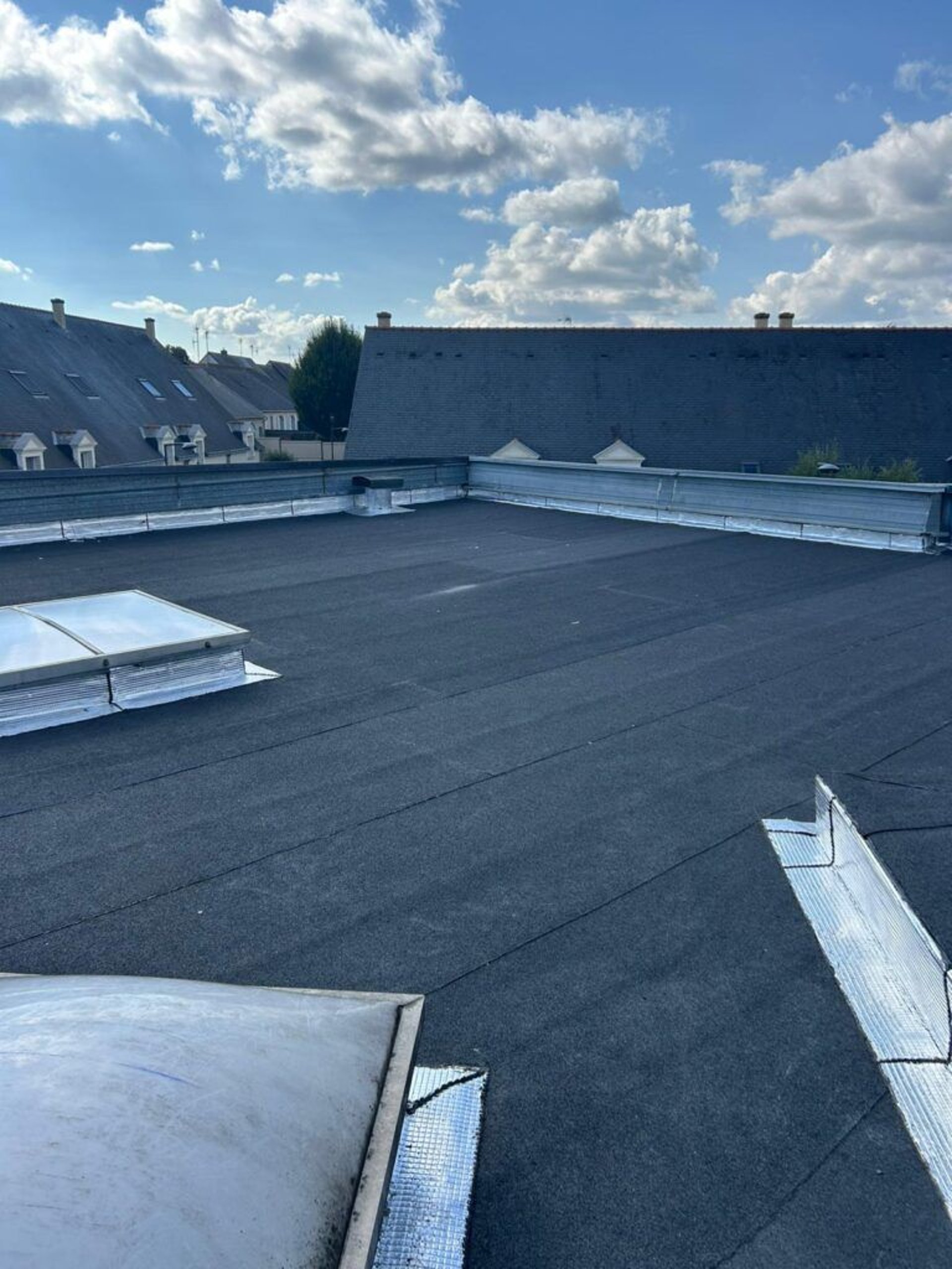 moss on roof